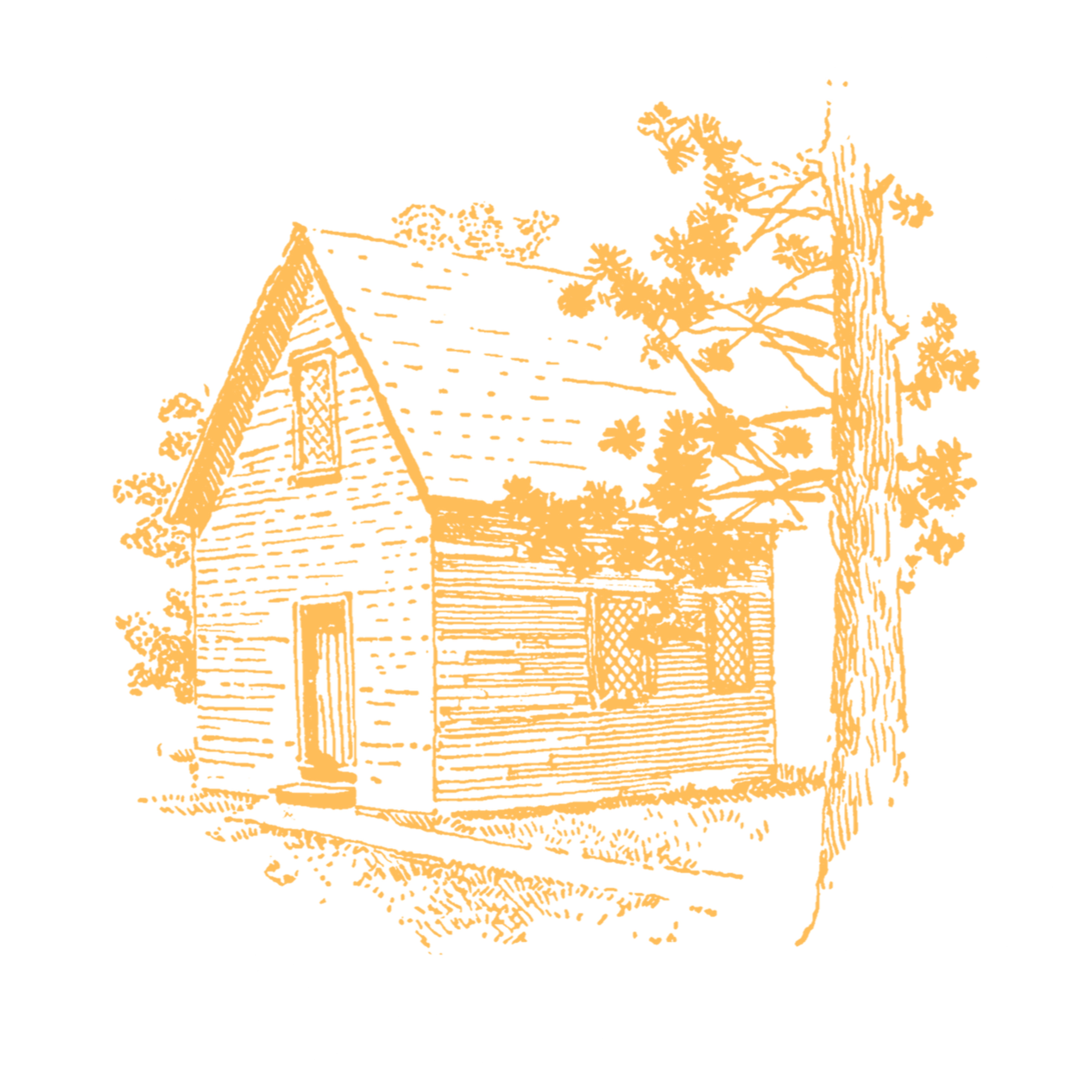 Cabin in the Clearing