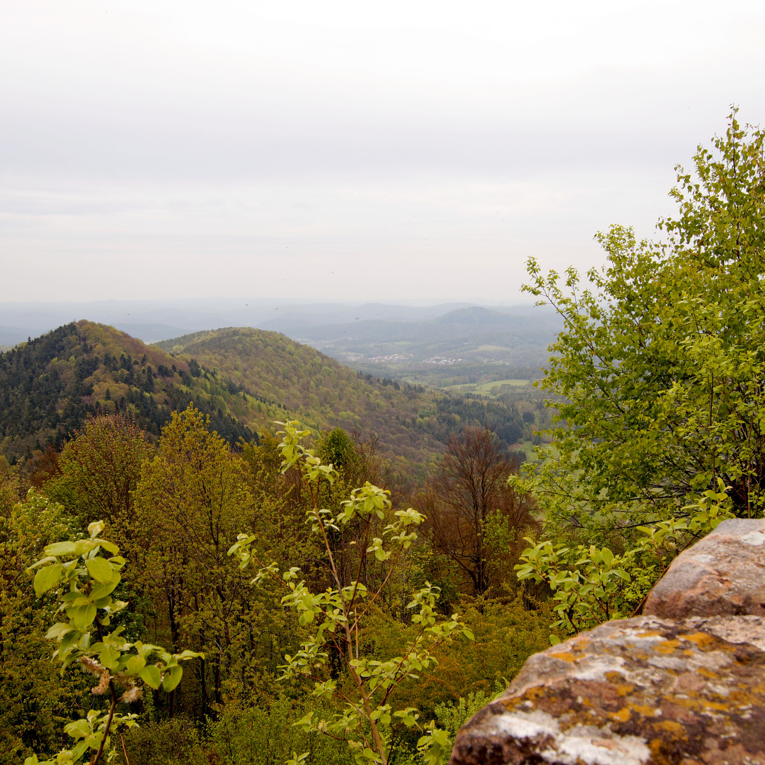 Finding Forgiveness: The Tale of Peter's Journey