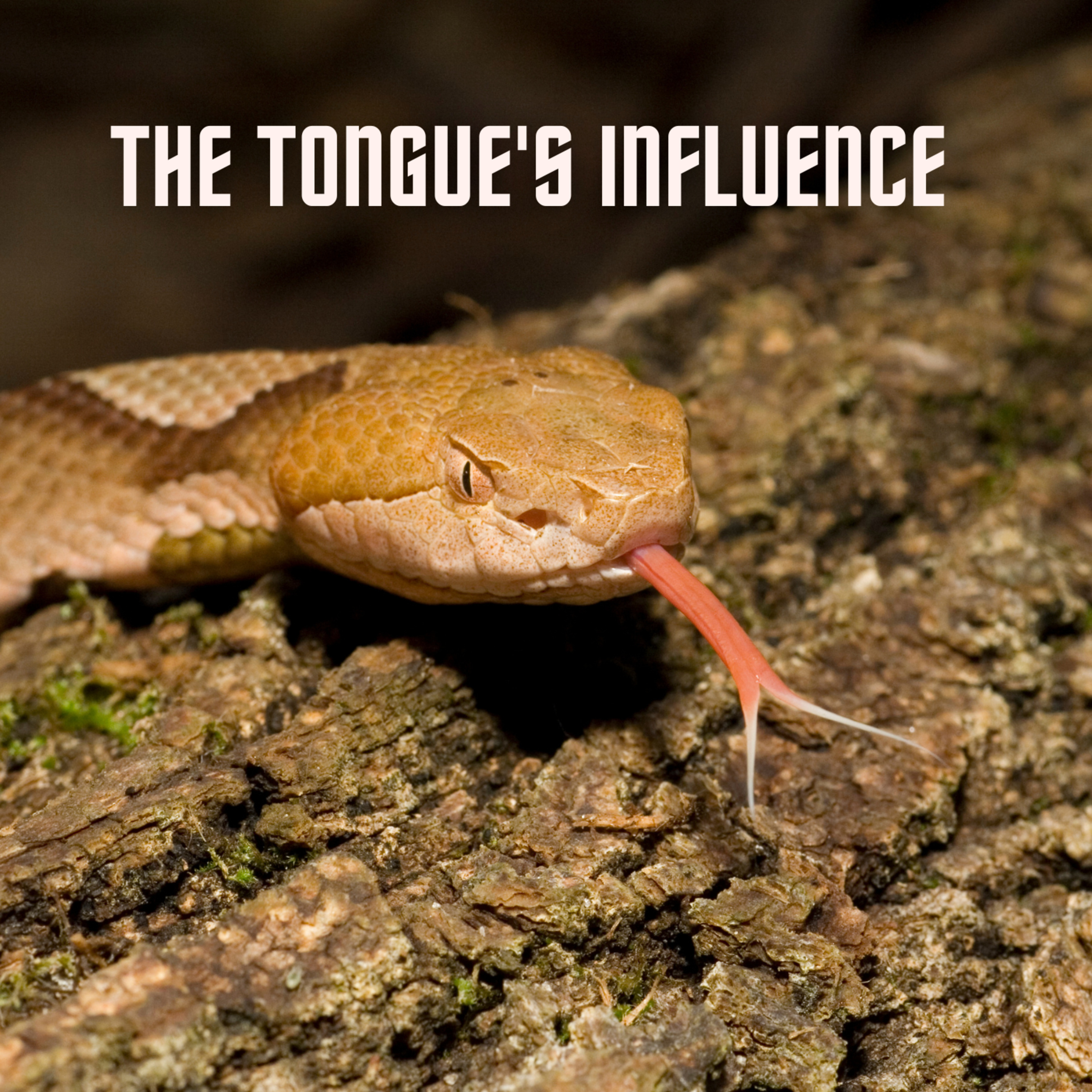 The Tongue's Influence: Communication in Marriage episode artwork