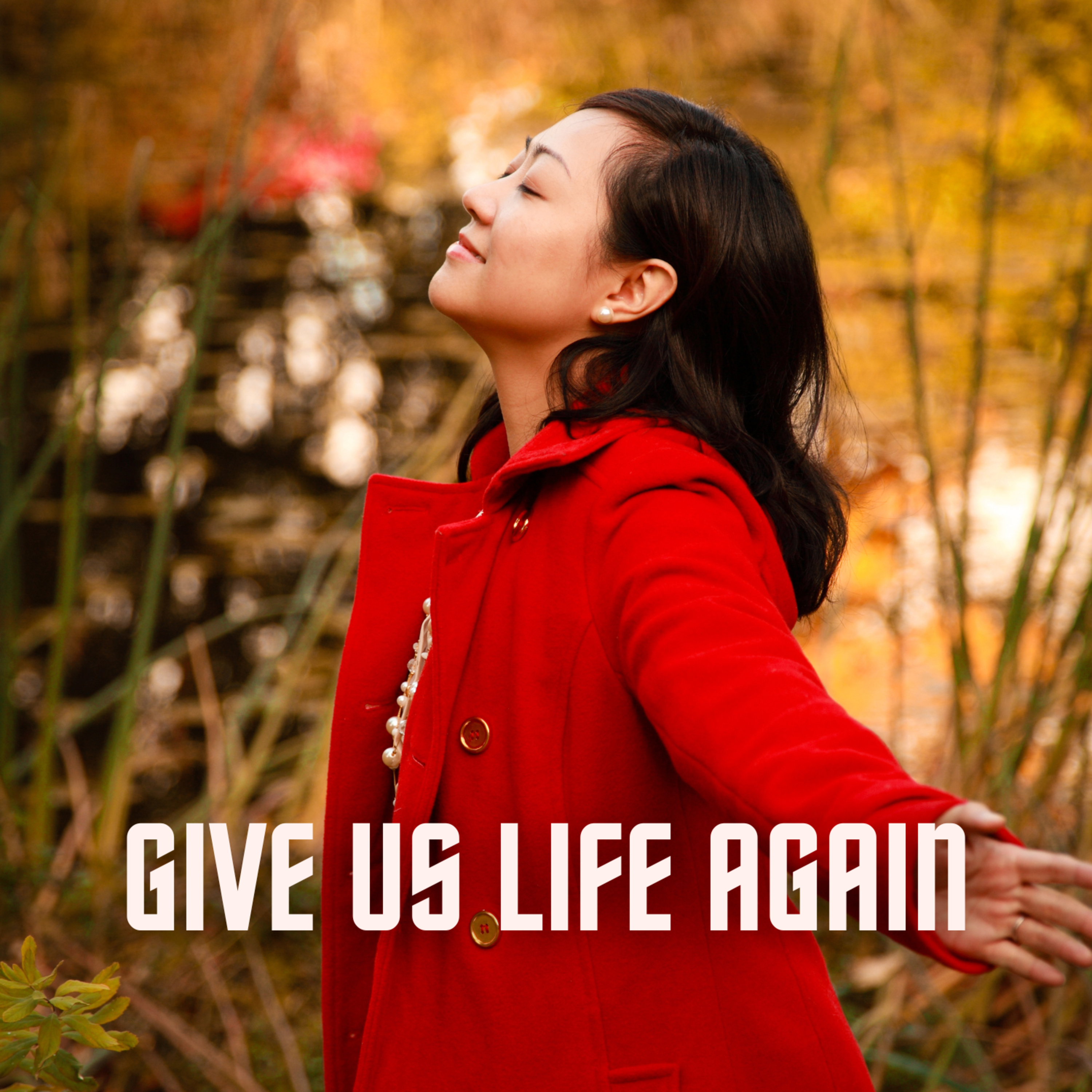 Give Us Life Again: A Journey Through Spiritual Renewal