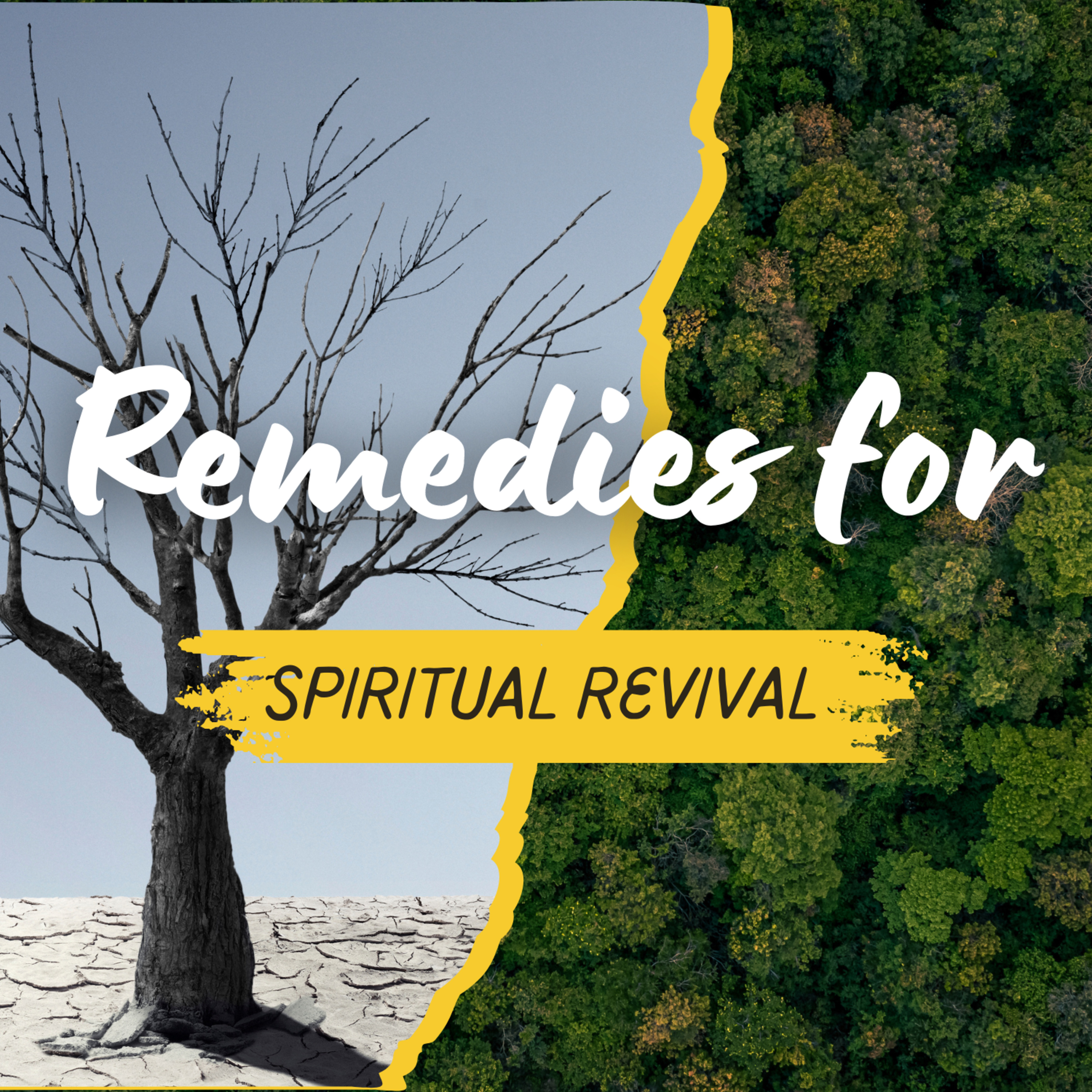 What Are the Remedies for Spiritual Revival? | The Path to Spiritual Renewal episode artwork