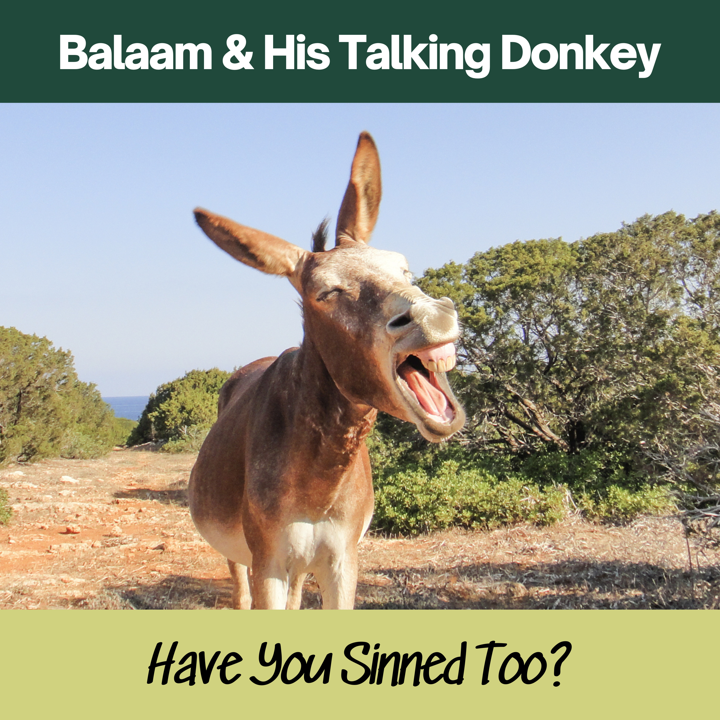 Recognizing Sin and Seeking Forgiveness: Balaam's Conversation With A Donkey episode artwork