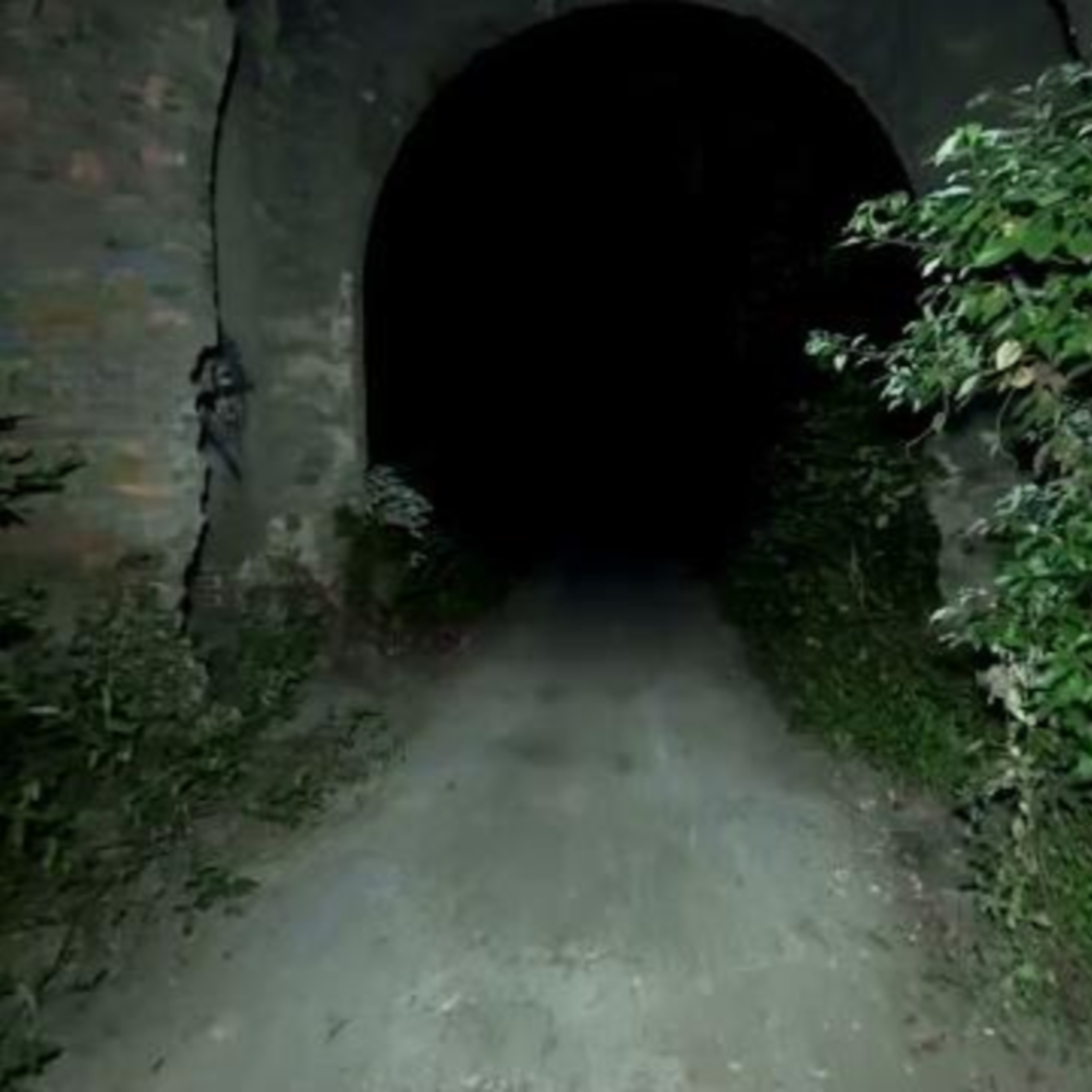 What Are the Unanswered Questions in the Bible?