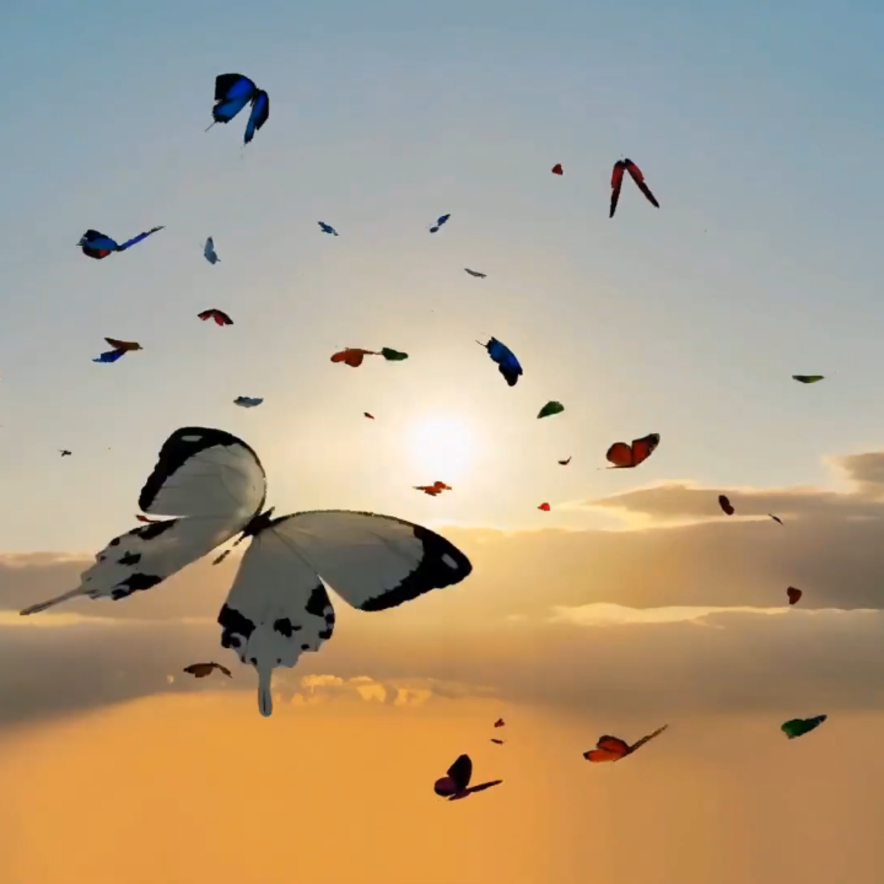 Trusting God When You Can't See His Plan: Embracing God's Plan and Sovereignty episode artwork