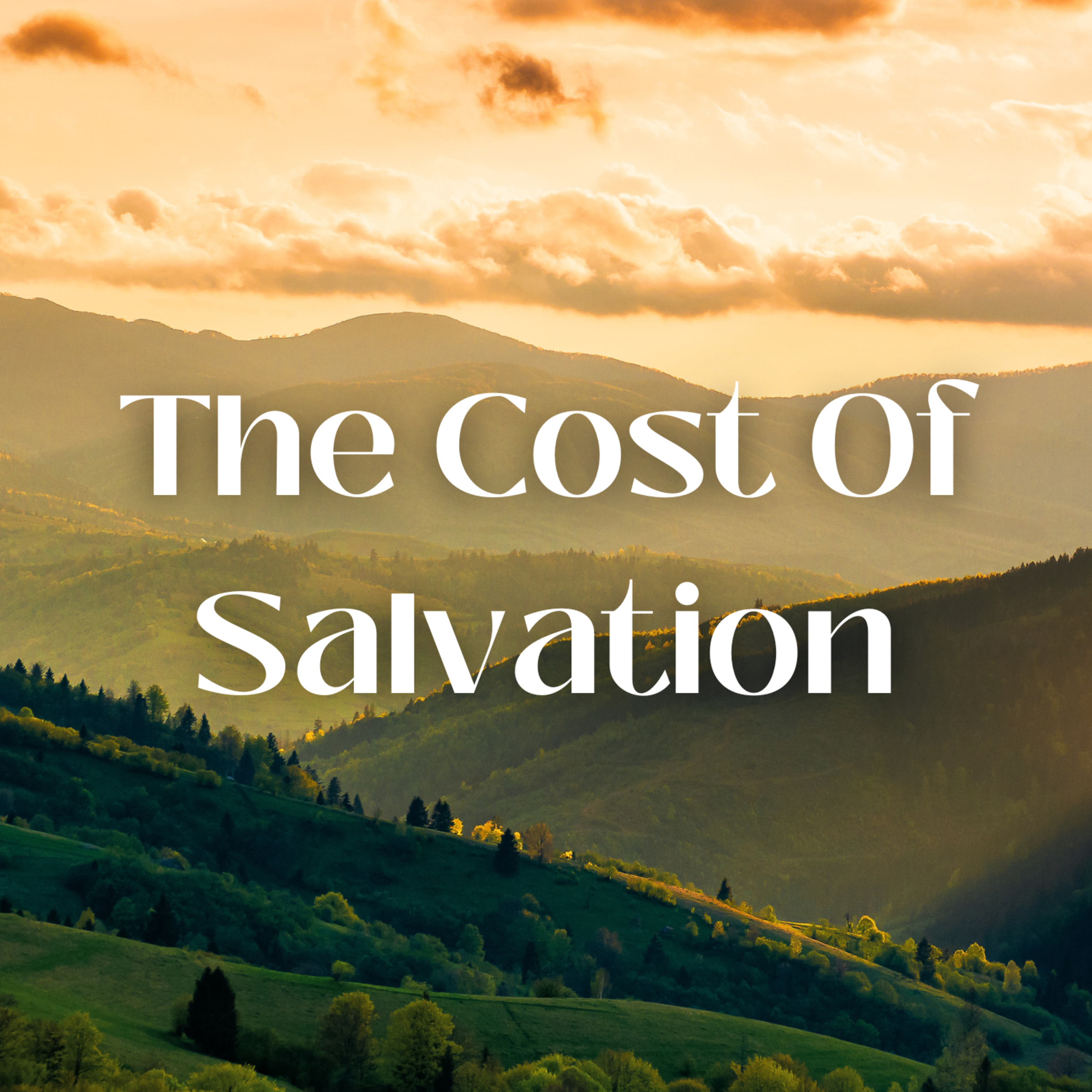 The Cost, Repentance, and Joy in Heaven: Understanding Salvation episode artwork