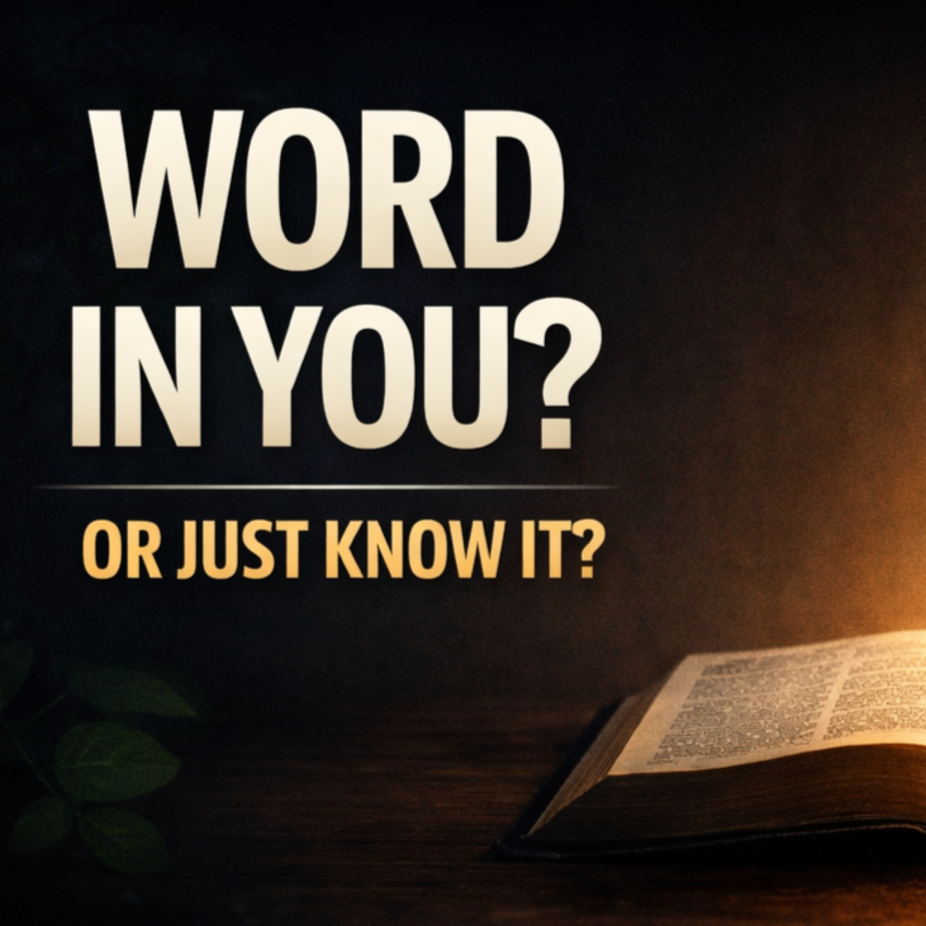 Why the Bible Isn’t Changing You (Colossians 3:16 | KJV) episode artwork