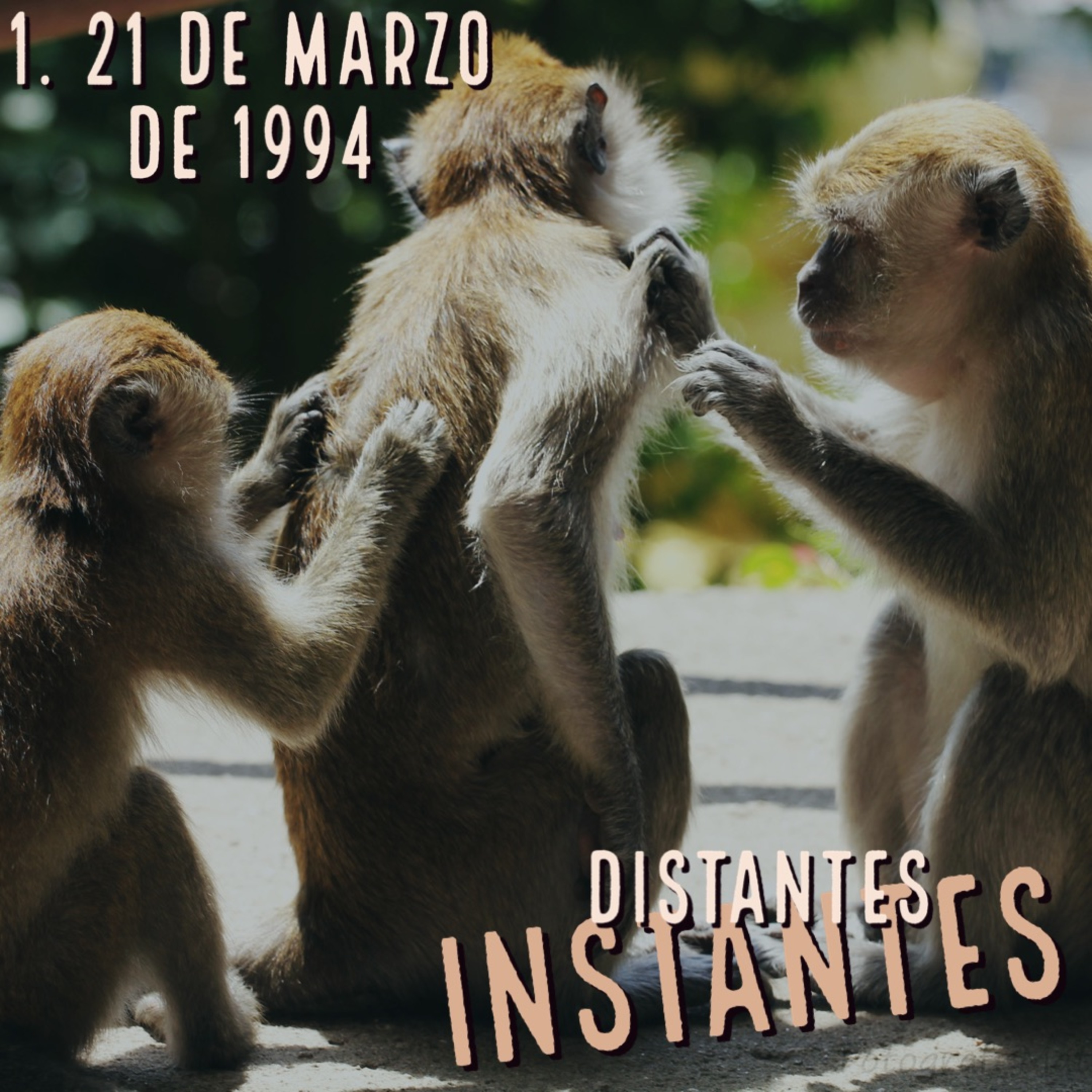 Distantes Instantes