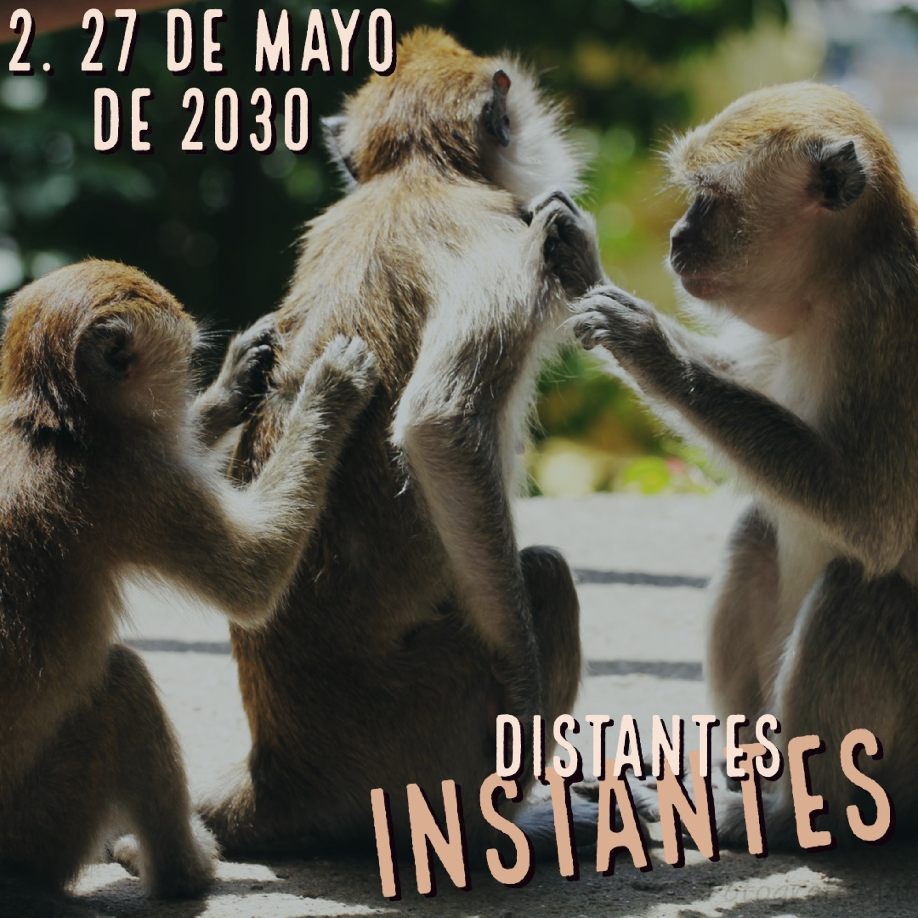 Distantes Instantes