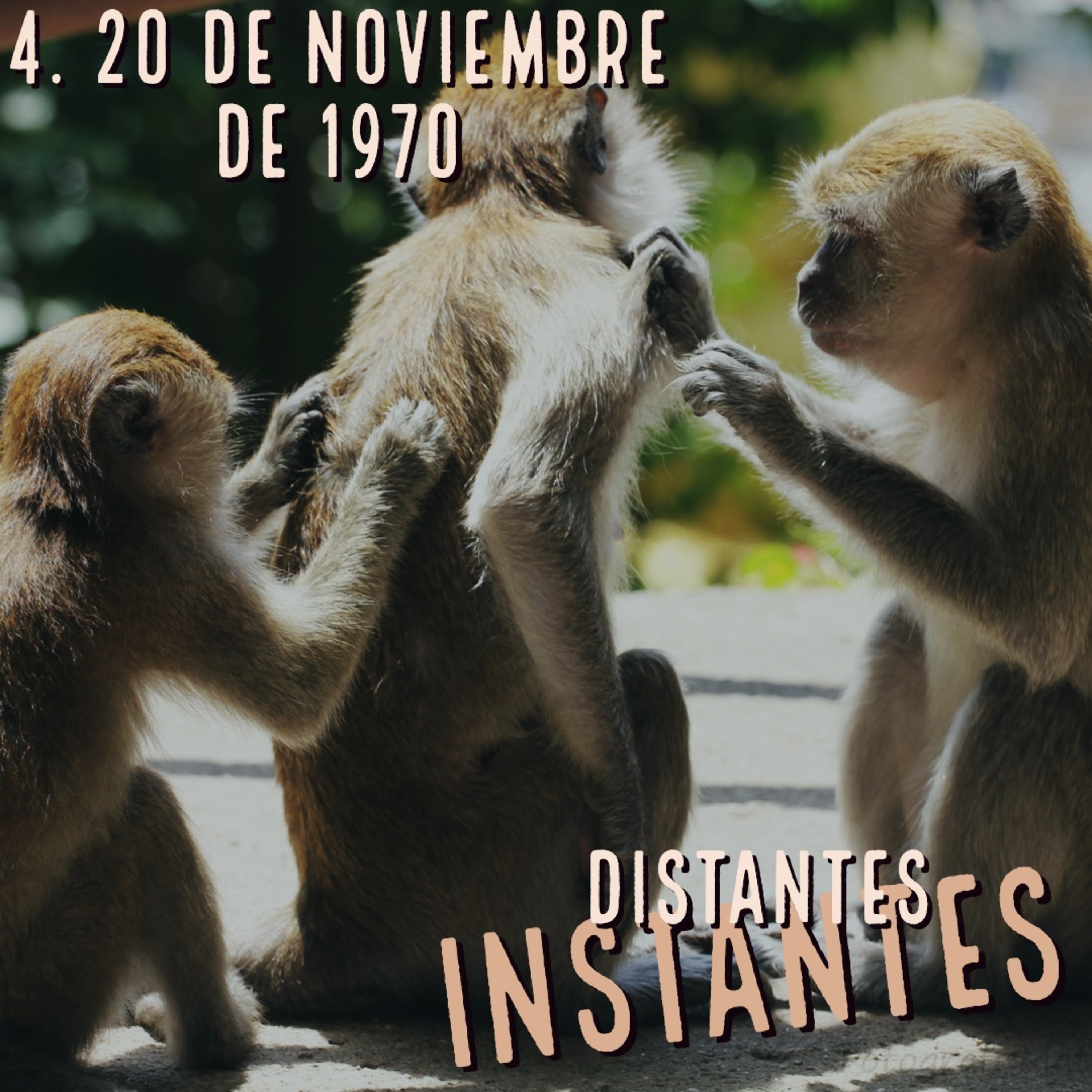 Distantes Instantes