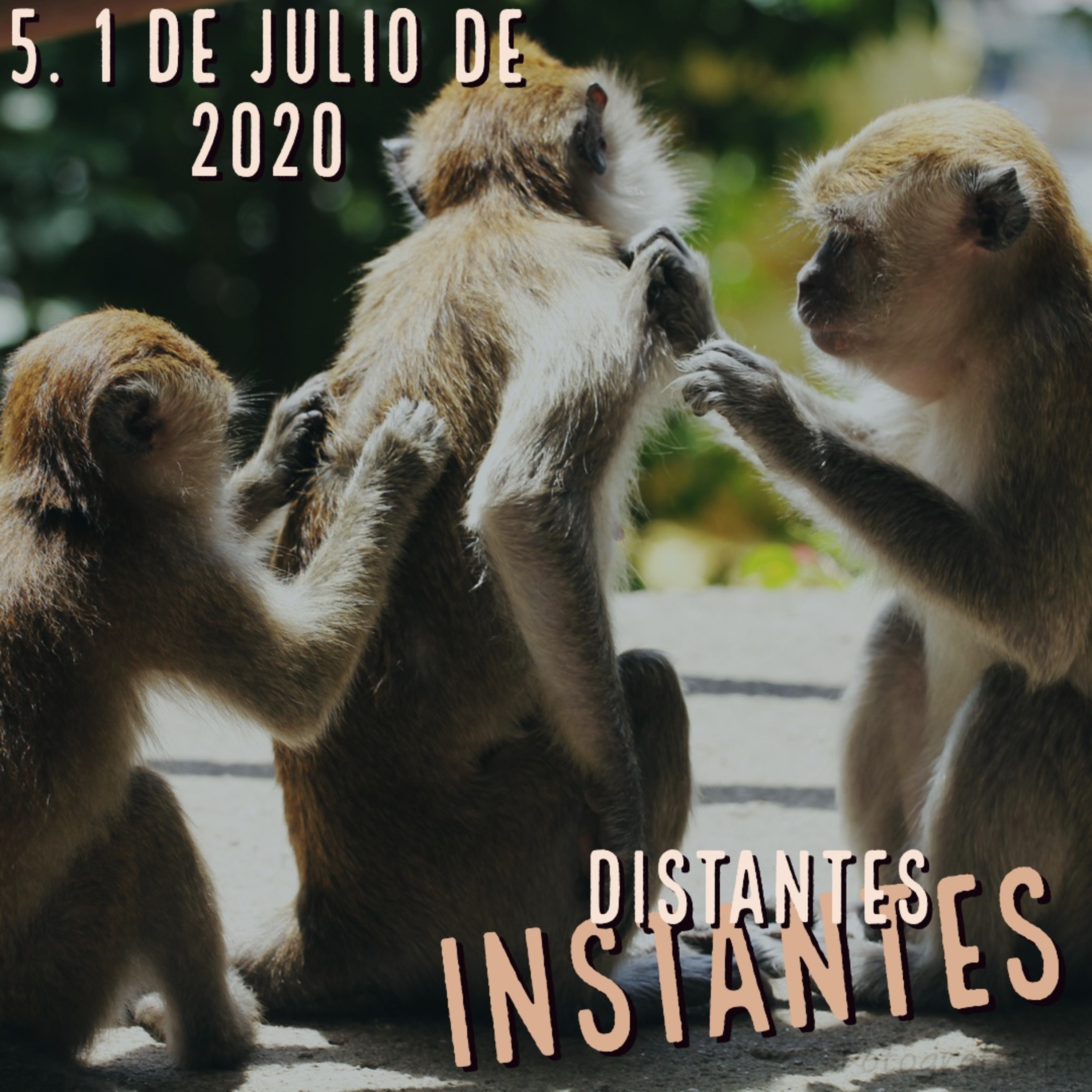Distantes Instantes
