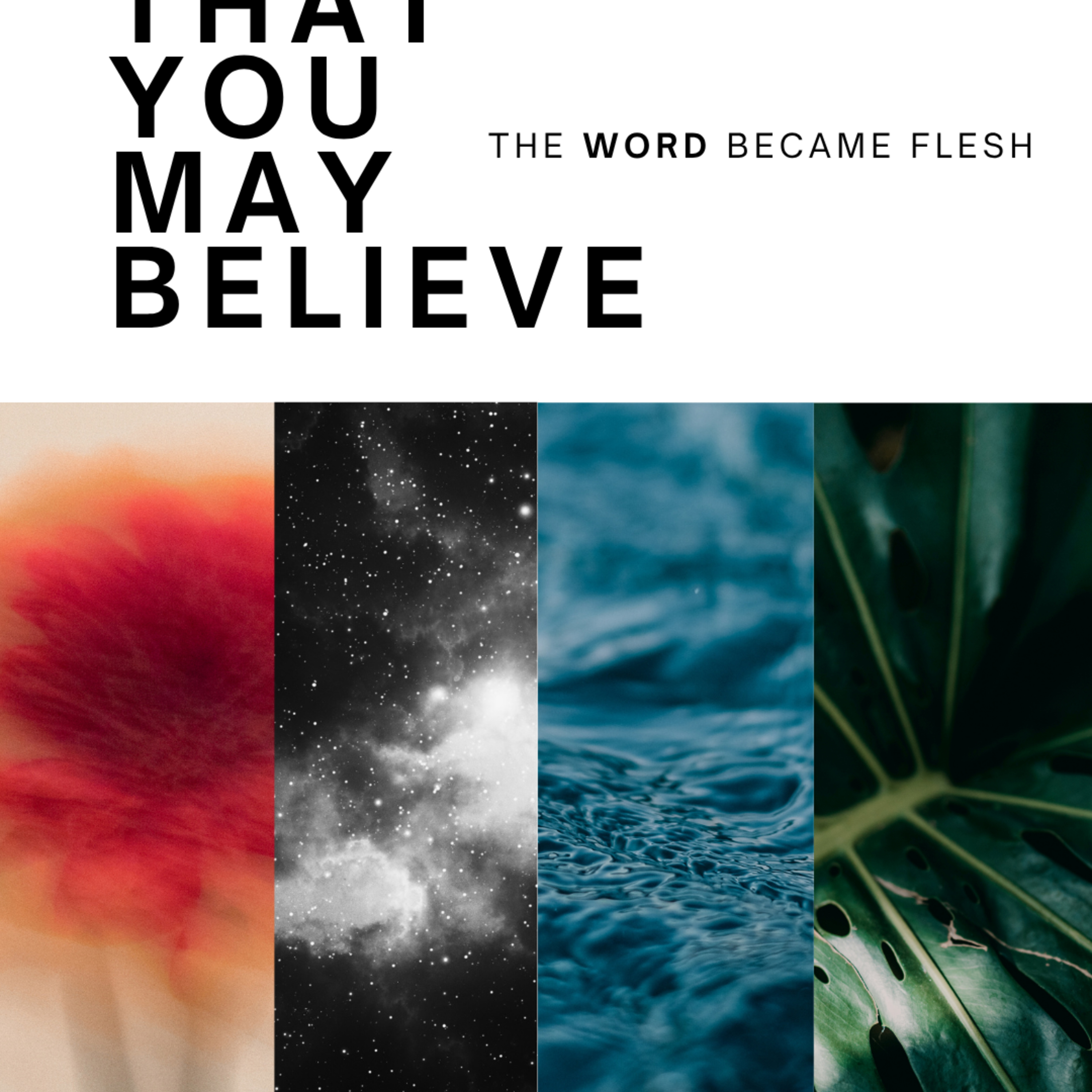 That You May Believe - Week 2 / Collection 1 - No Longer Bound episode artwork
