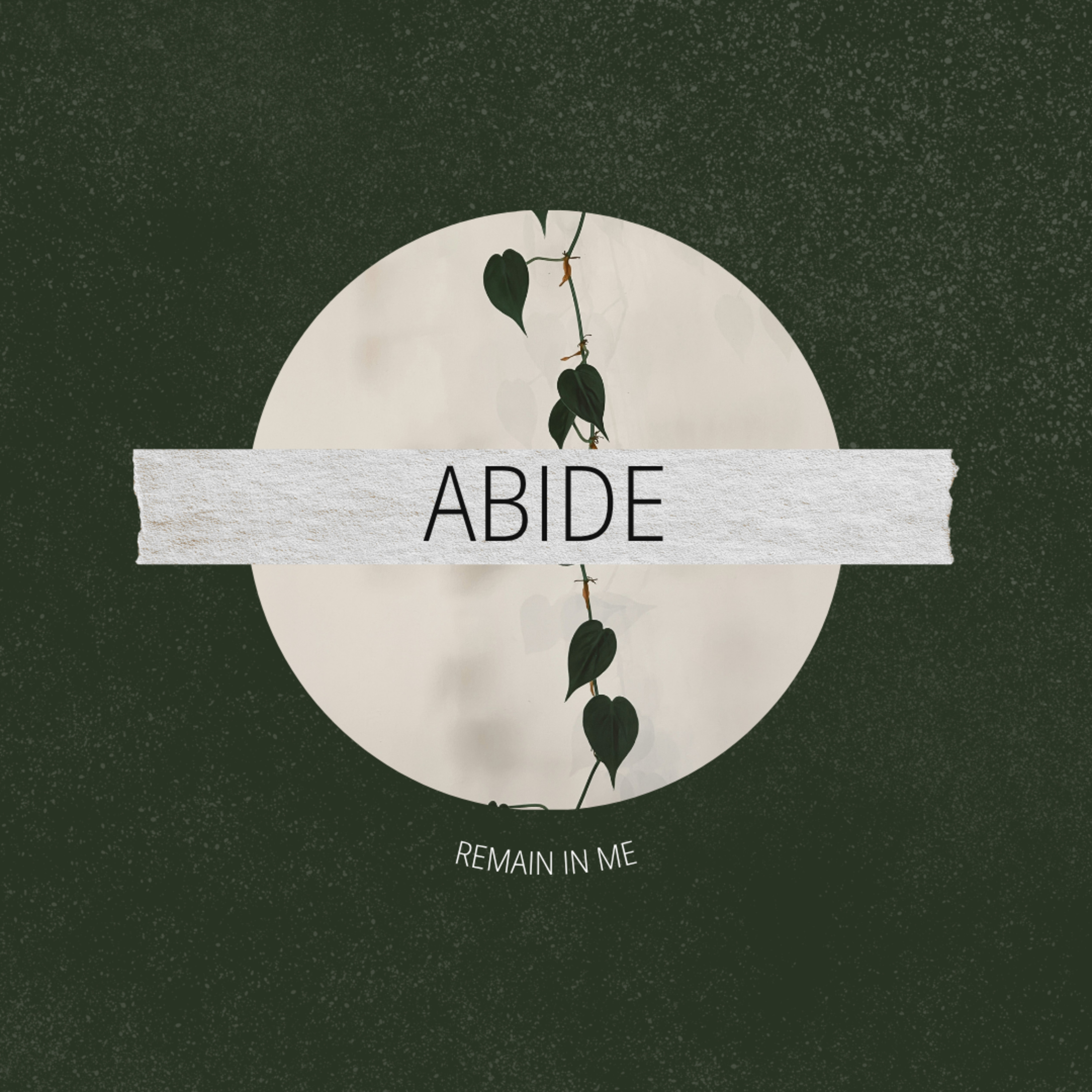 Abide - The Helper - Ps. Aaron Snow episode artwork