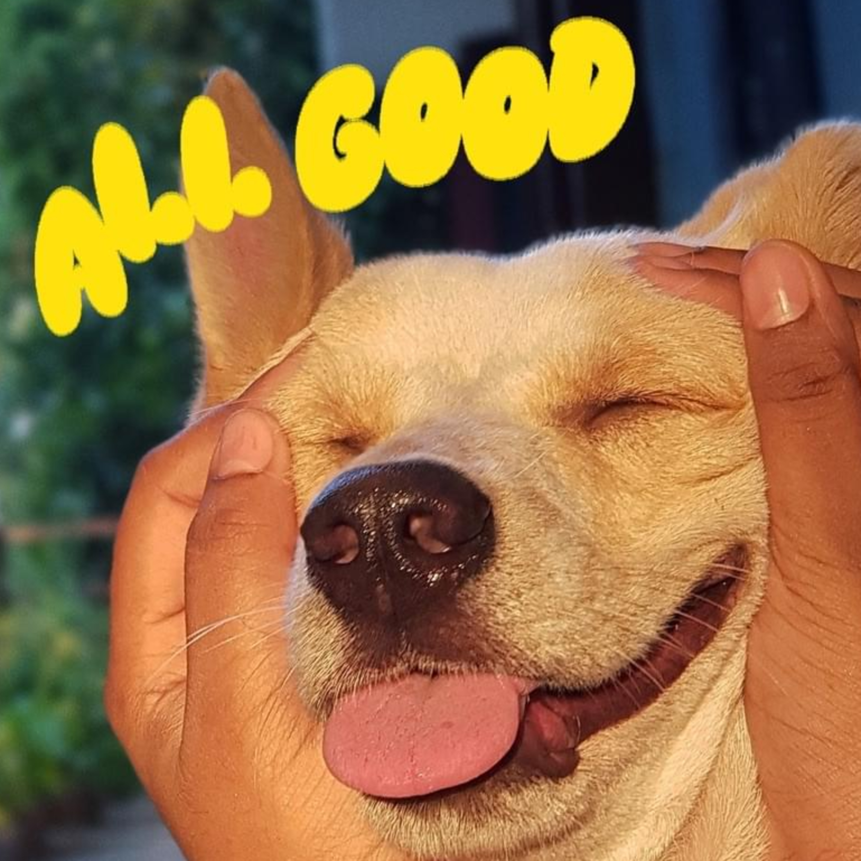 Episode 166 - Its All Good