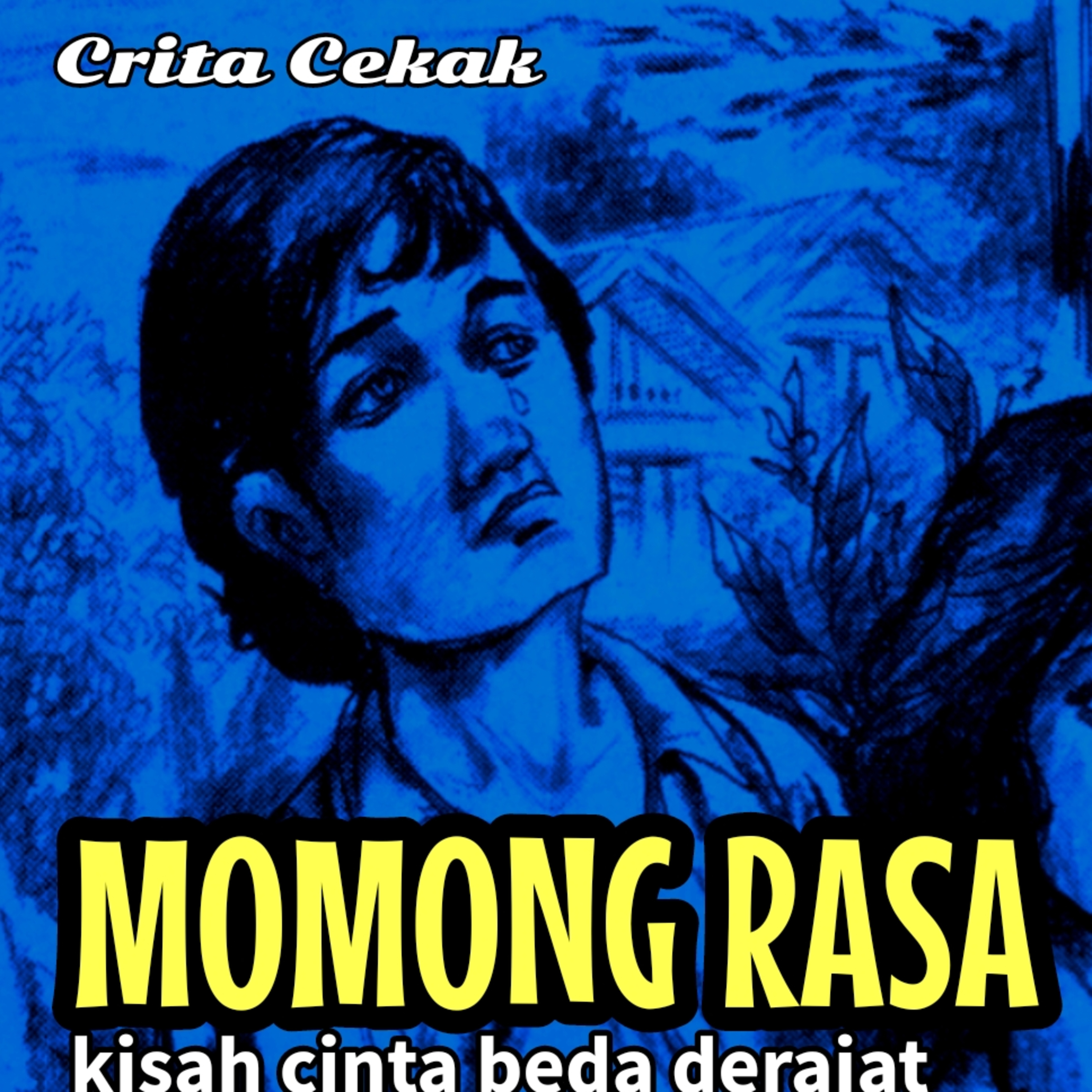 Radio Siaran Jawi