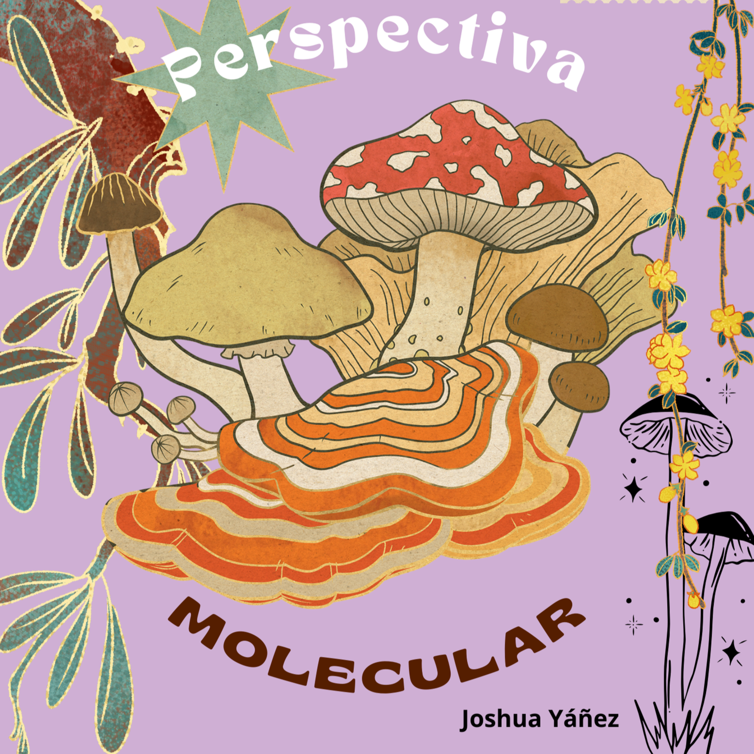 Hongos, vocación y ciencia con propósito: Milena Cotoras en Ciencia y Sociedad