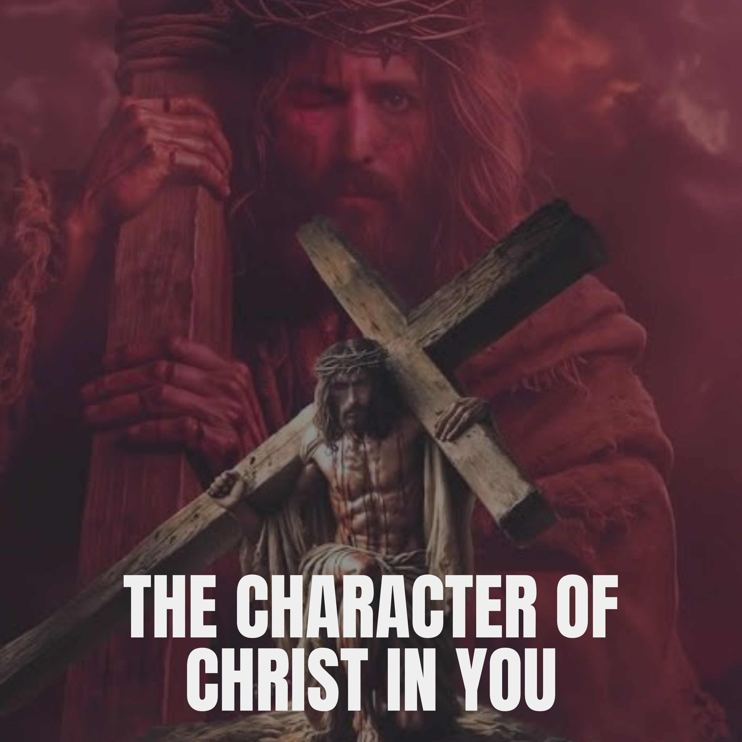 THE LIFE OF CHRIST: THE CHARACTER OF CHRIST IN YOU episode artwork