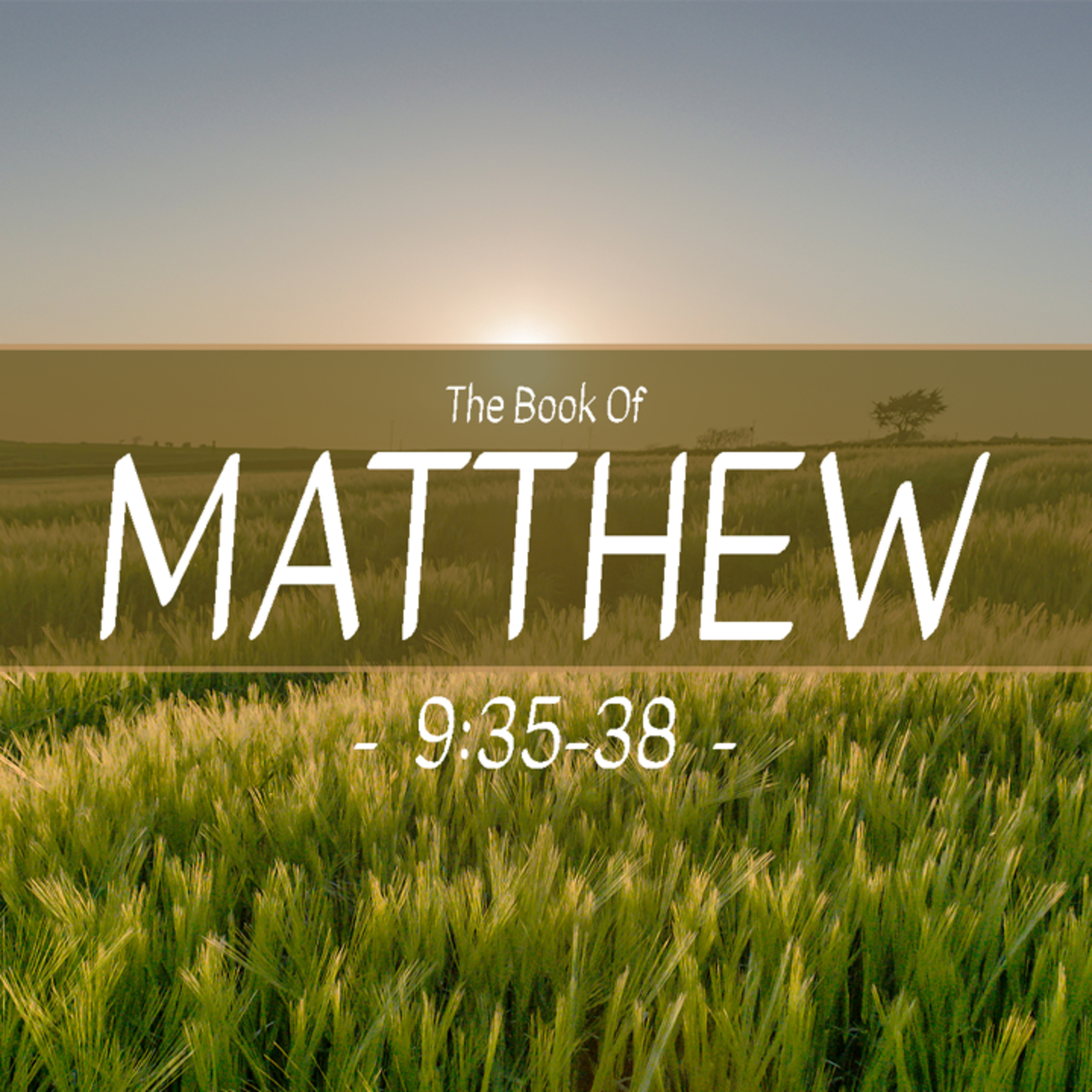 Matthew 9:35-38 ft. Dustin Thompson (August 4, 2024) episode artwork