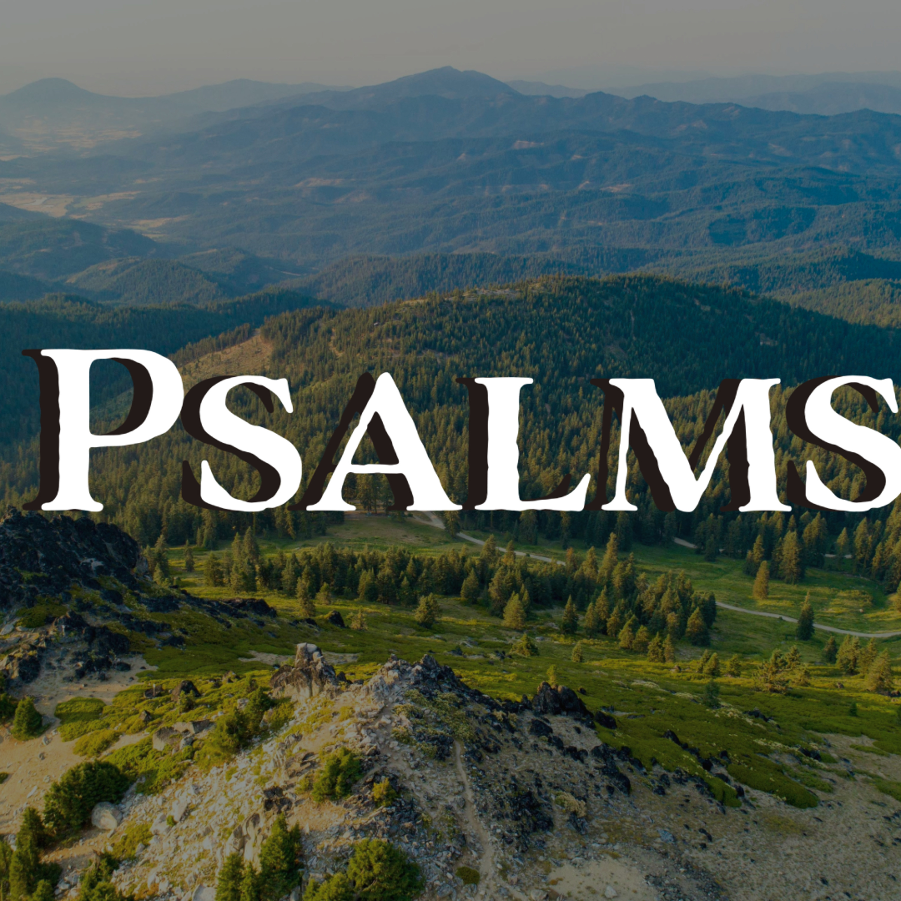 Psalm 49 (June 15, 2025) LIVE episode artwork