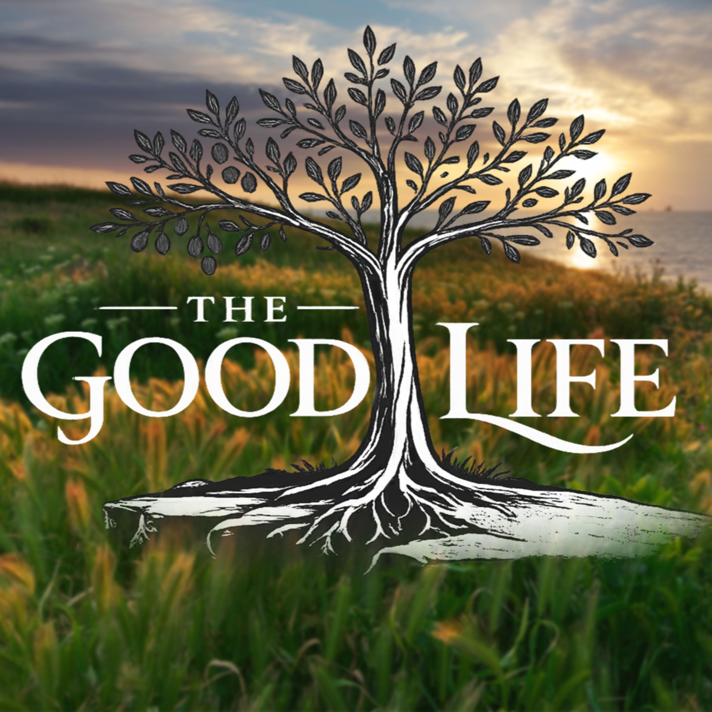 Luke 6:17-19 (July 5, 2026) episode artwork