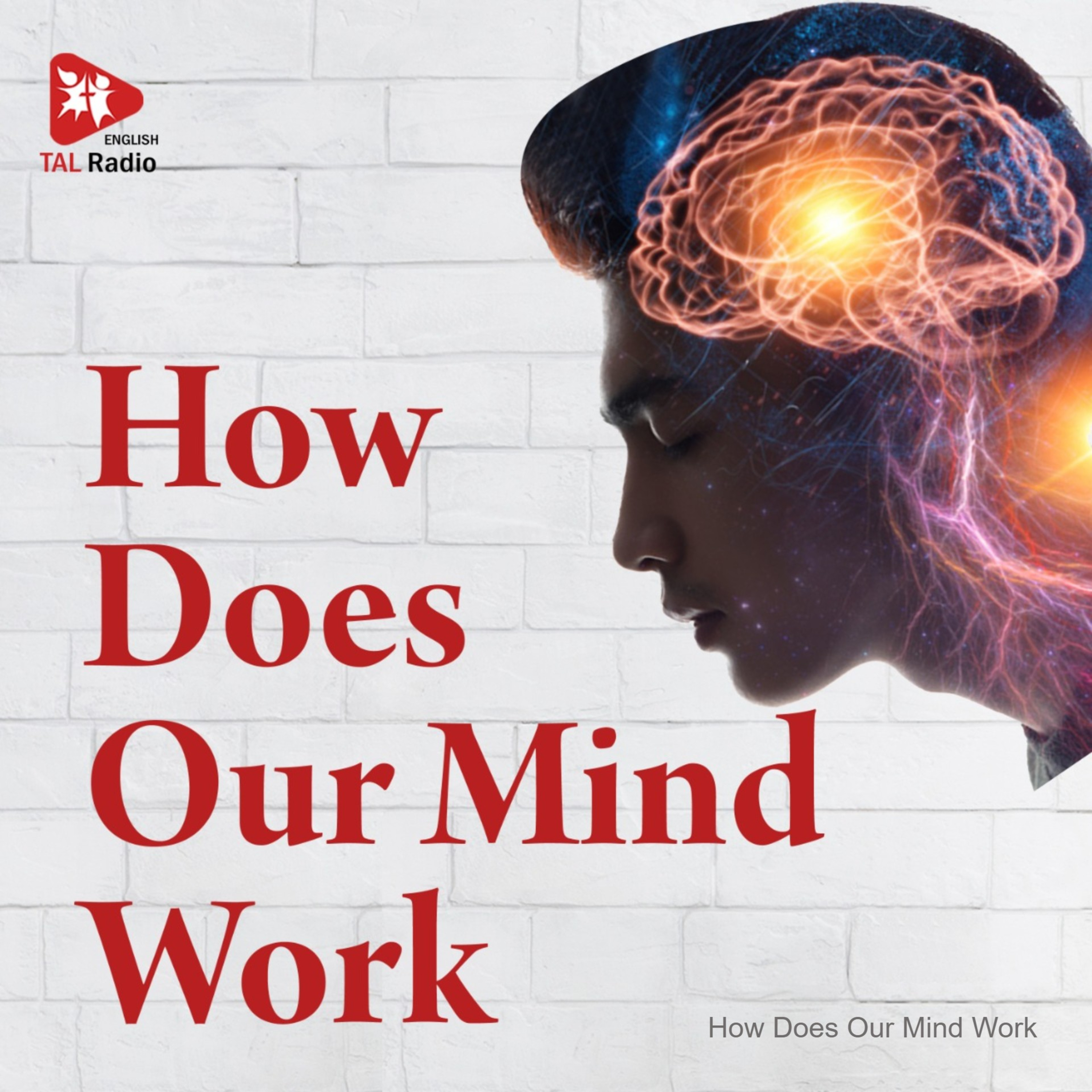 How Does Our Mind Work