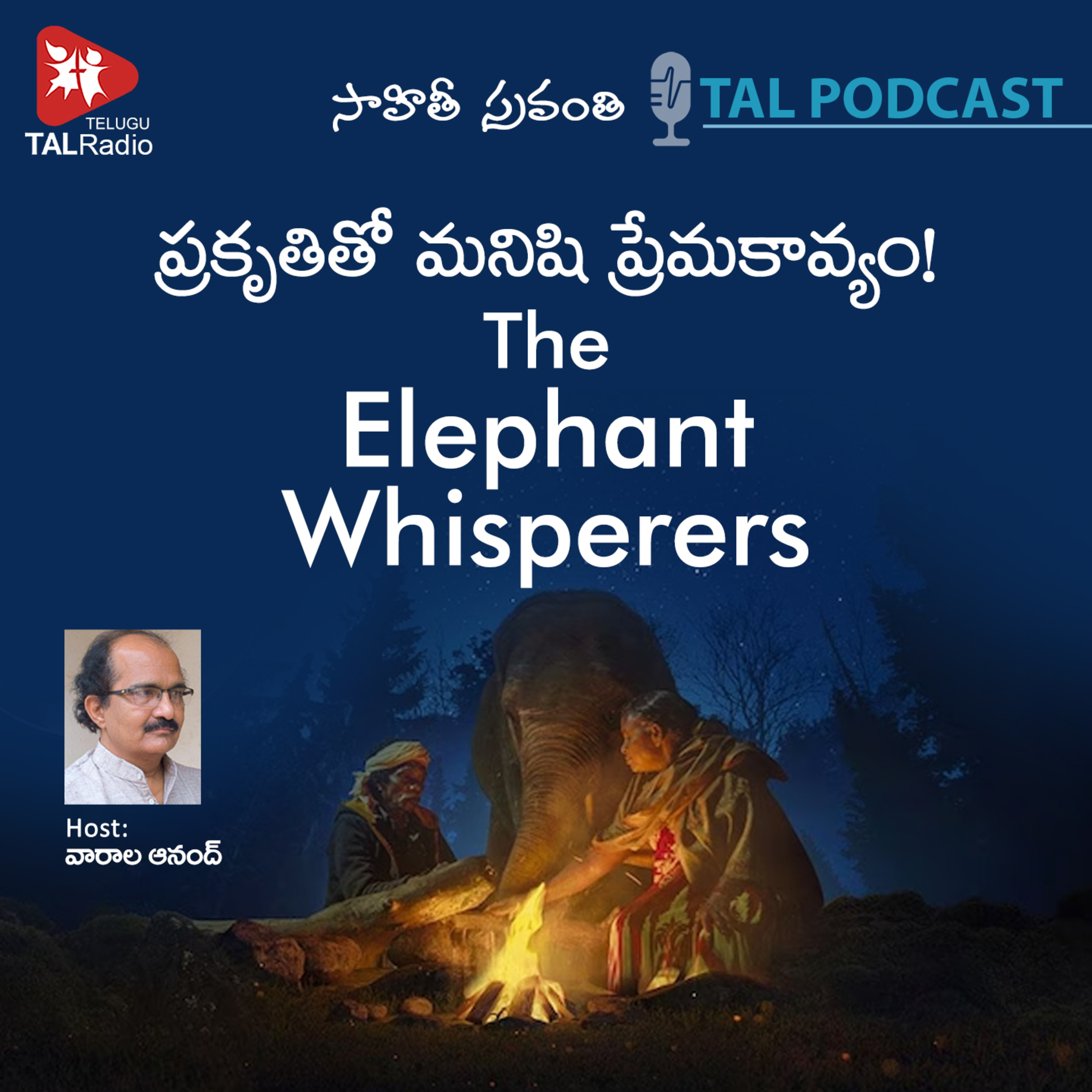 An Elephant That Won Oscar | Sahithi Sravanthi - 34