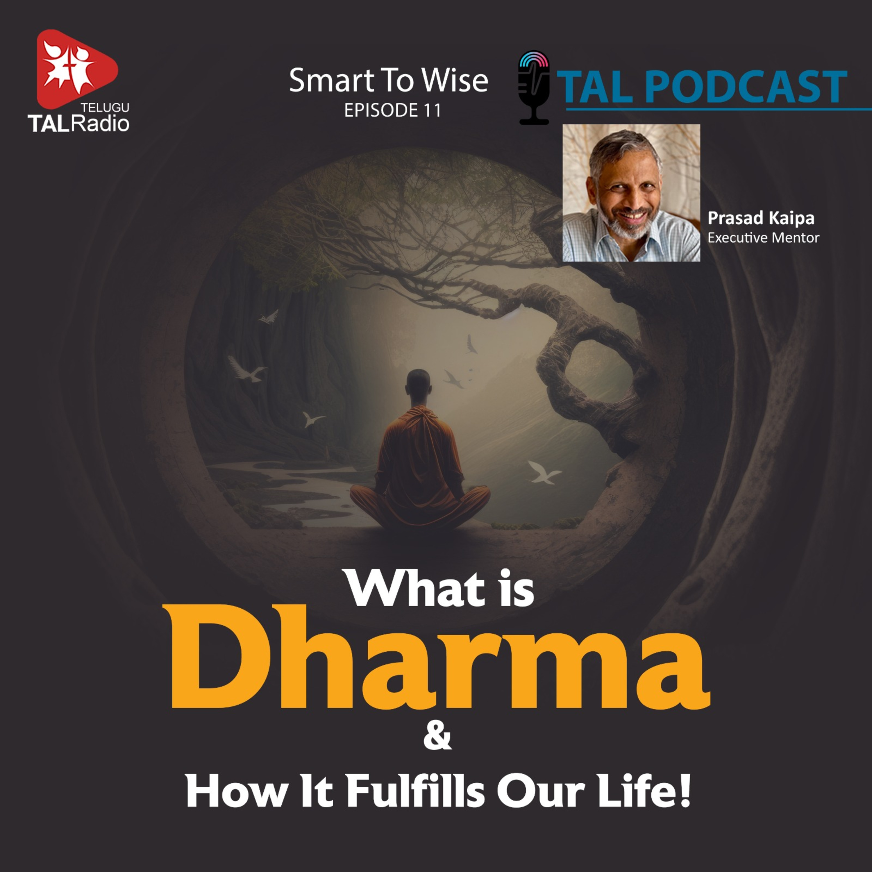 What Is Dharma & How It Fulfills Our Life | Smart To Wise - 11 episode artwork