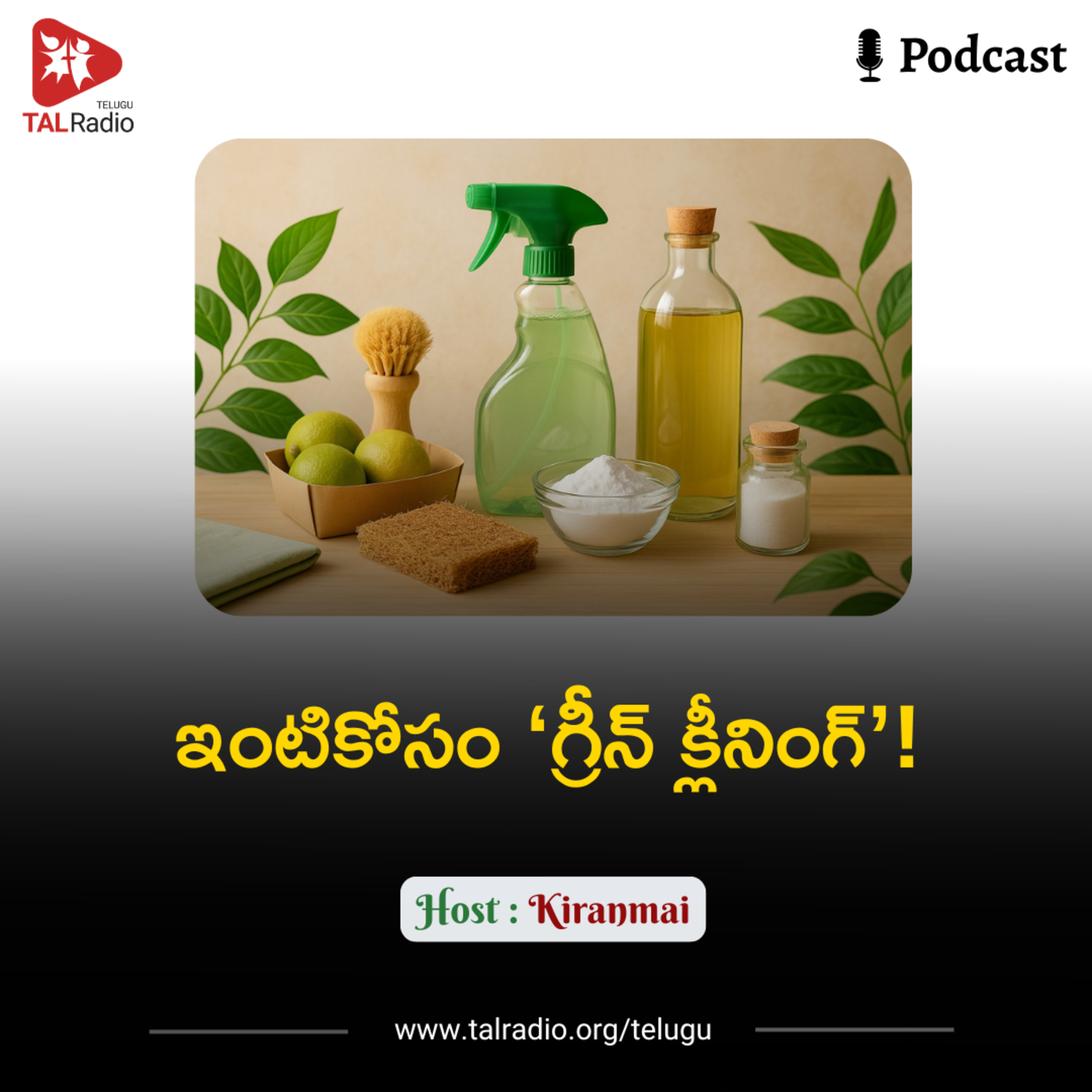 ఇంటికోసం ‘గ్రీన్​ క్లీనింగ్’!