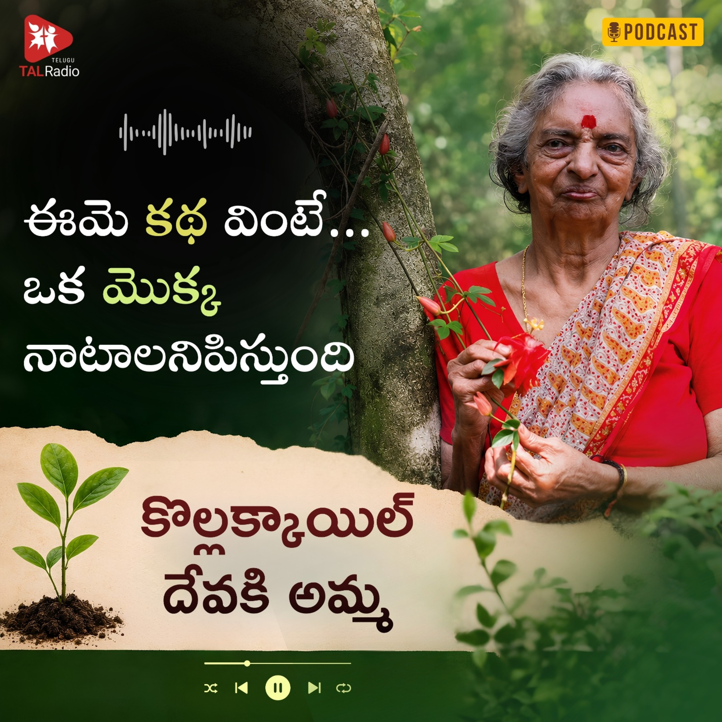 ఈమె కథ వింటే ఒక మొక్క నాటాలనిపిస్తుంది | కొల్లాక్కాయిల్ దేవకీ అమ్మ episode artwork