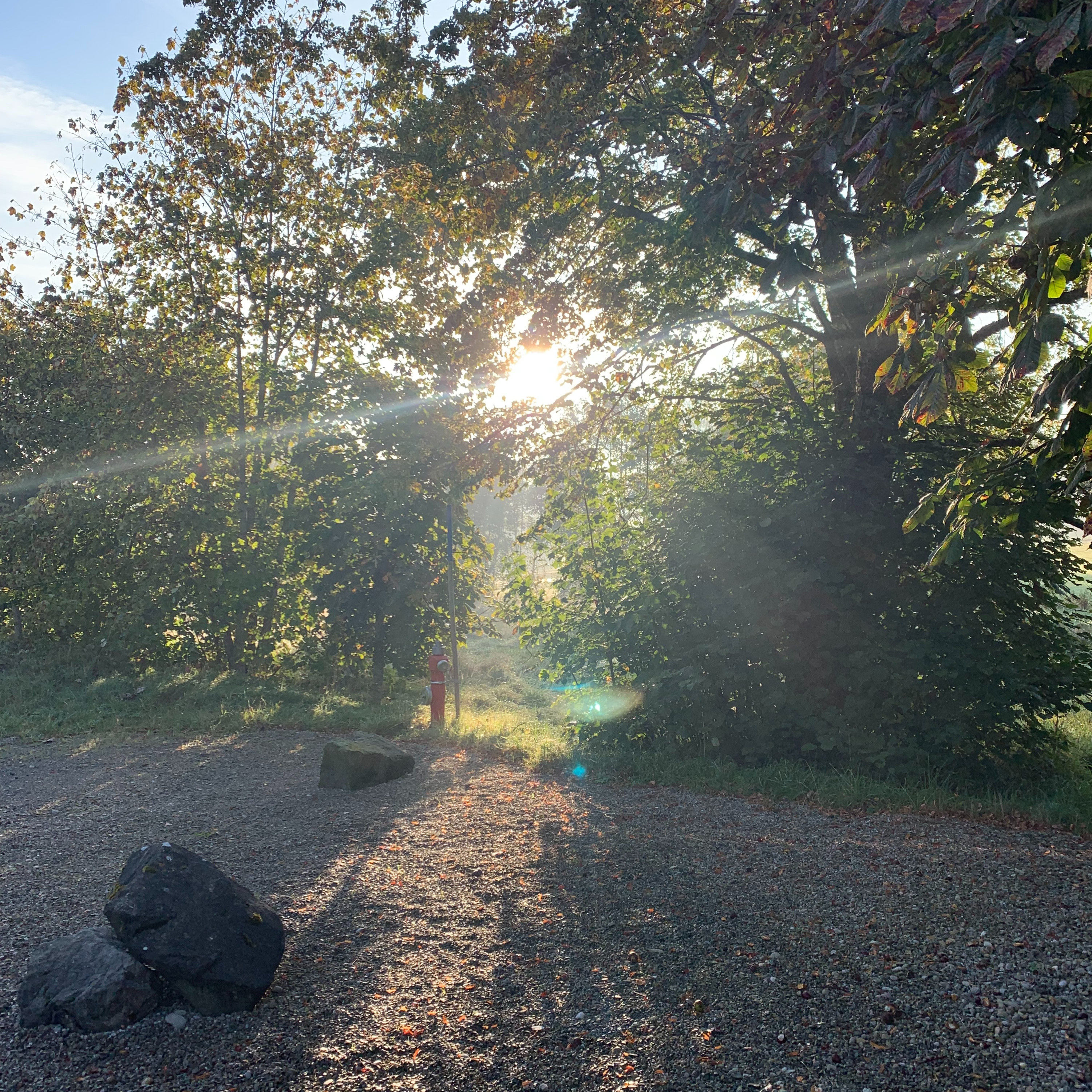 Zen-Meditation | Hinnerk Polenski