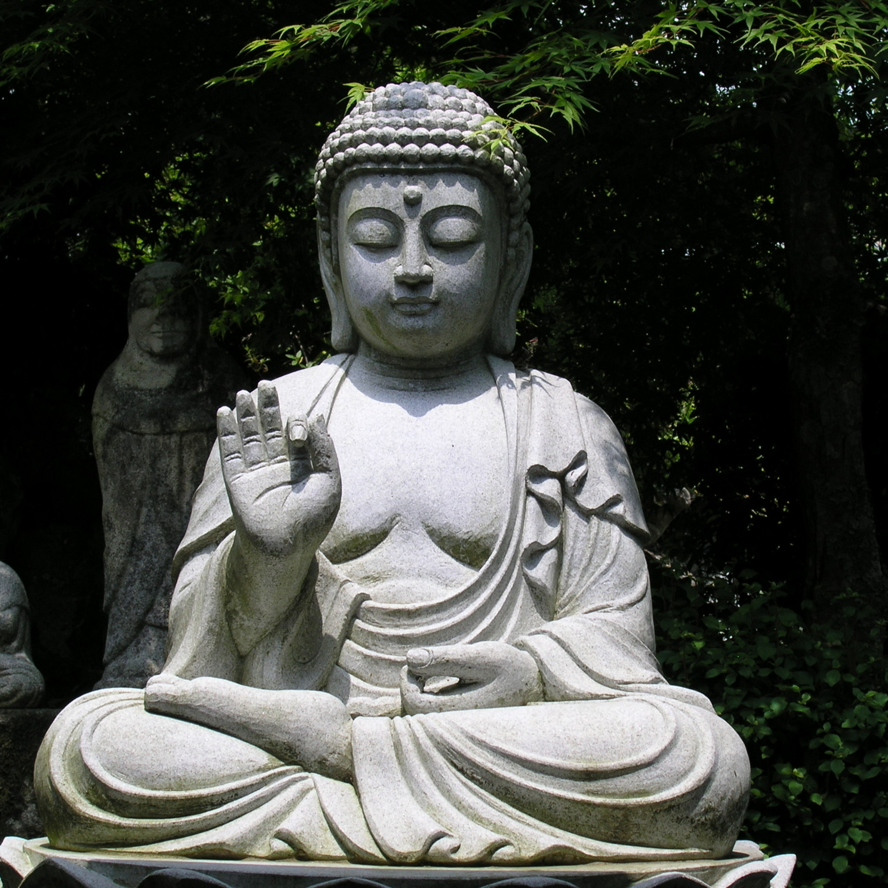 Was ist ein Buddha und was hat er mit Religion zu tun? episode artwork
