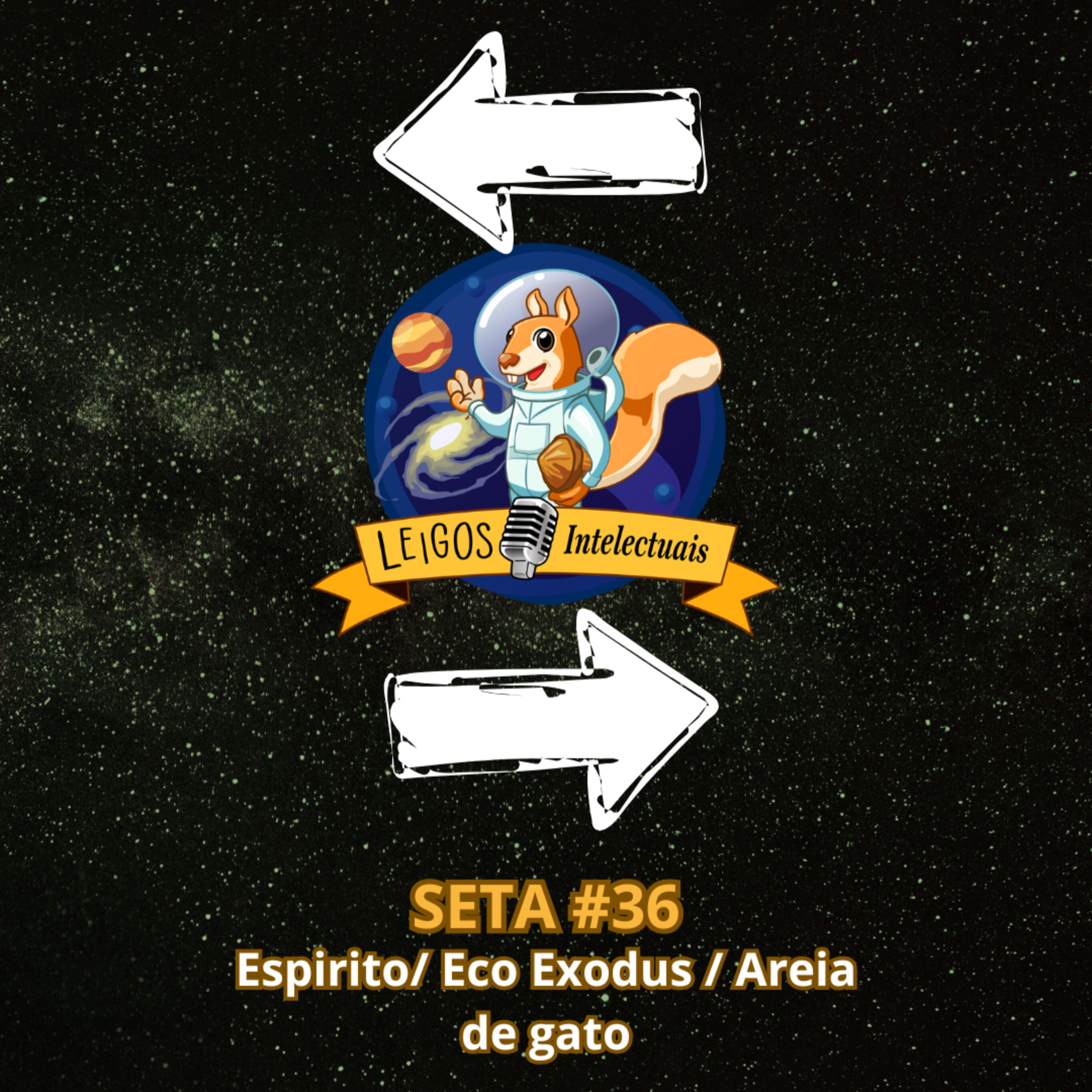 SETA #36