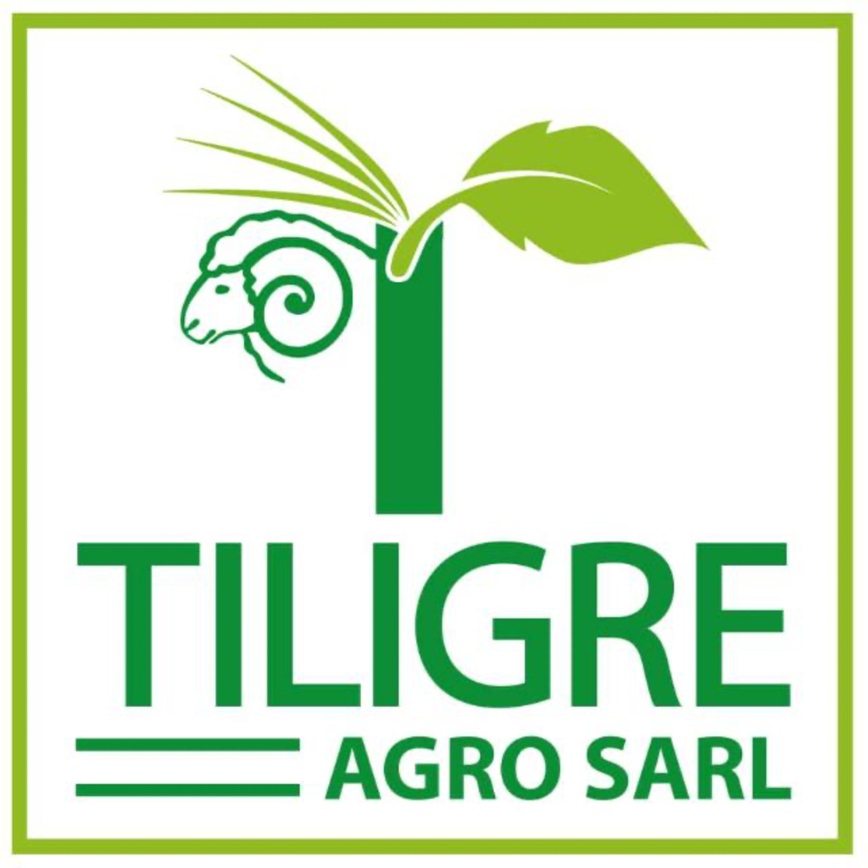 Comment réussir son projet agricole hors sol en Afrique ? Invité : Nestor Sawadogo du Cabinet TILIGRE AGRO SARL- Burkina Faso