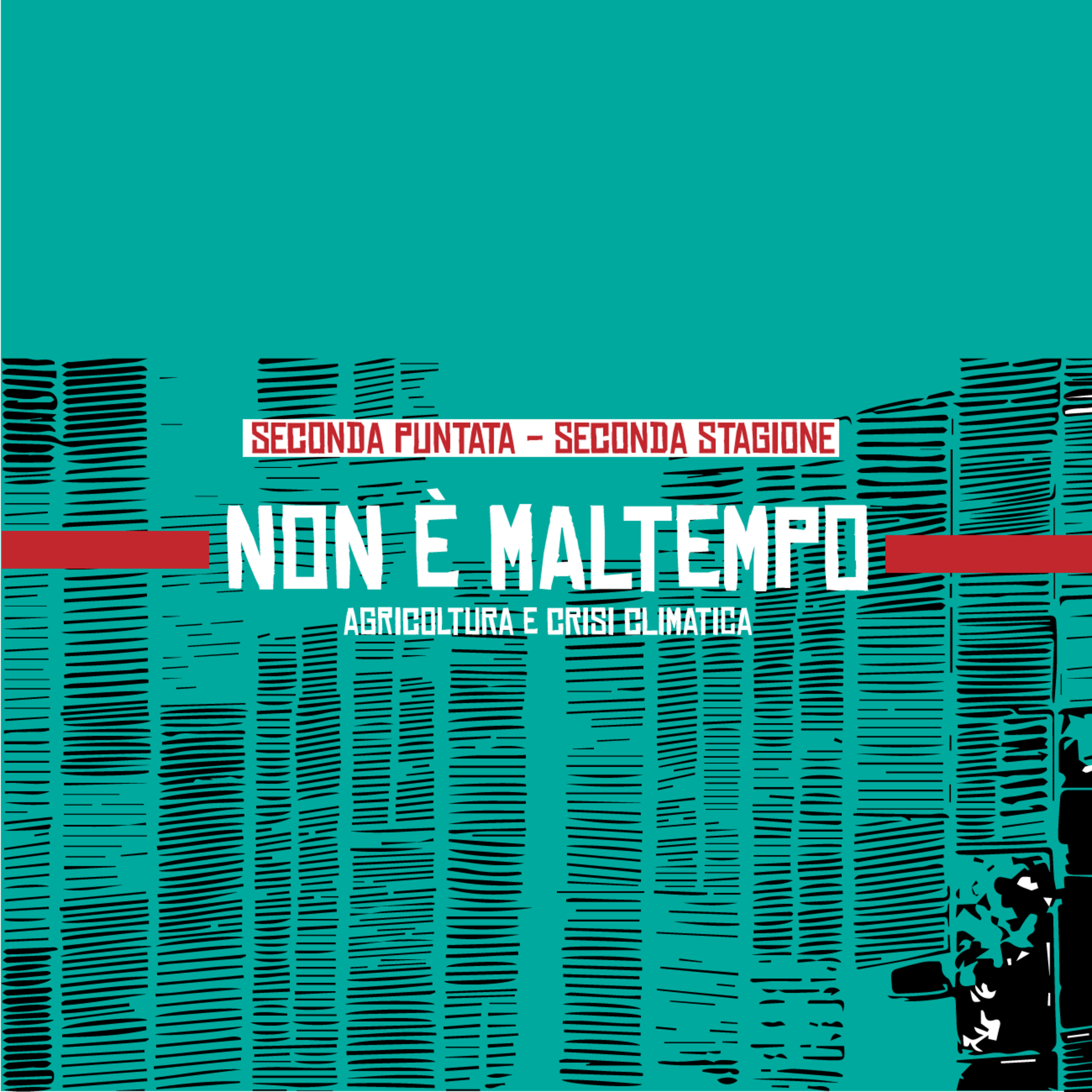 Radura - Un viaggio nei conflitti dell\'hinterland italiano