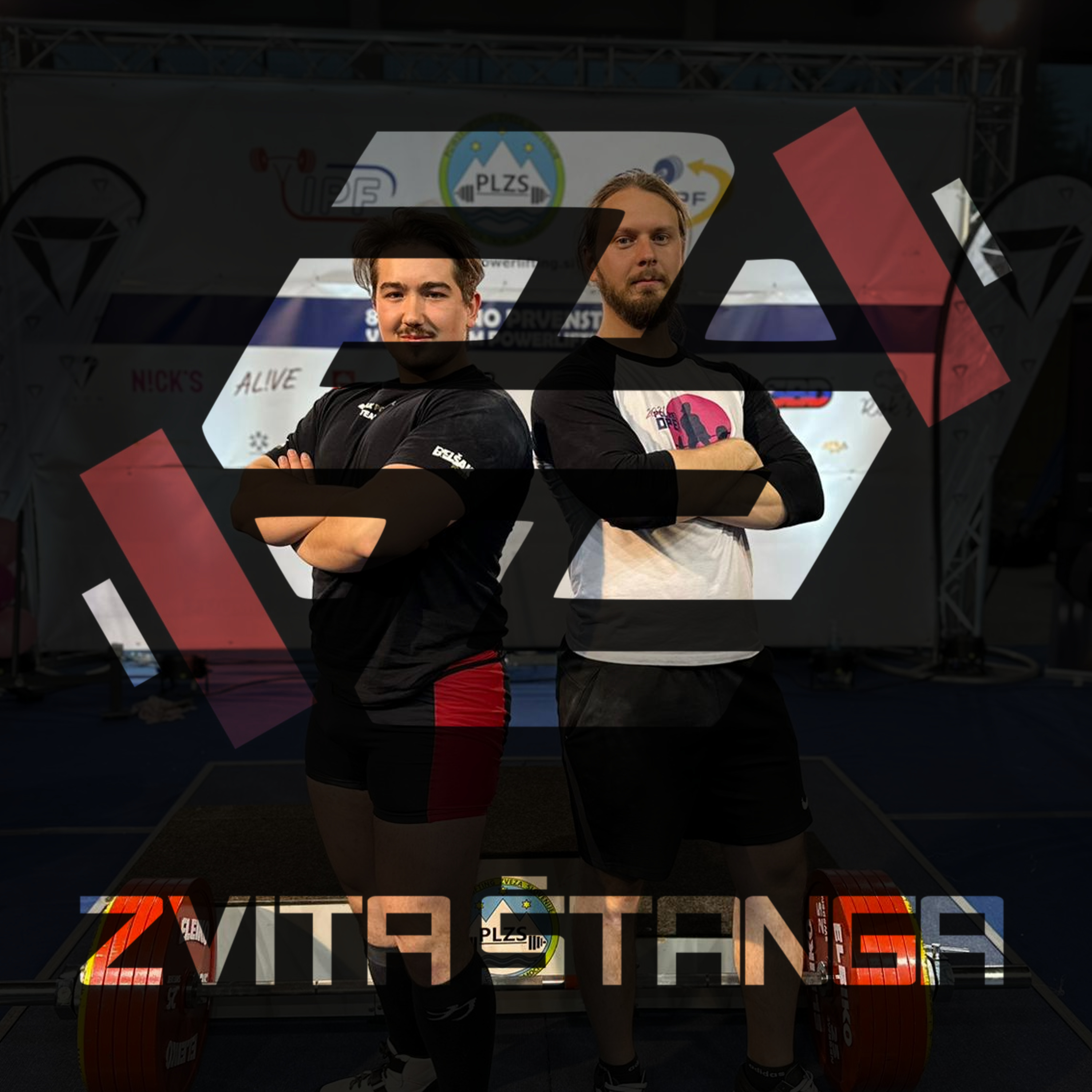 Zvita štanga