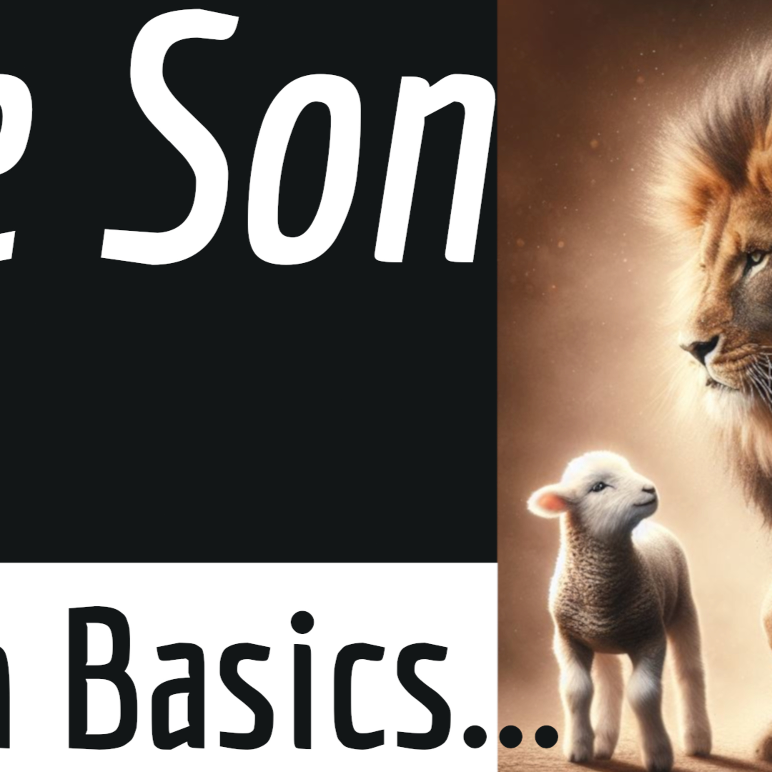 Faith Basics:The Son episode artwork