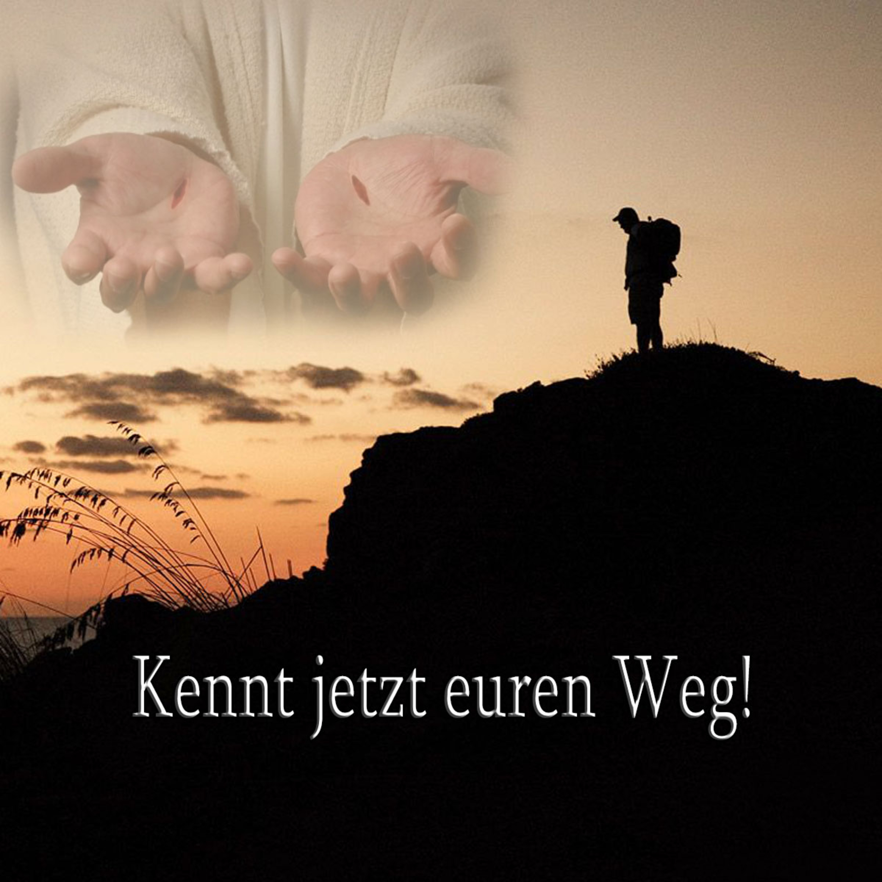 Kennt jetzt euren Weg!! episode artwork