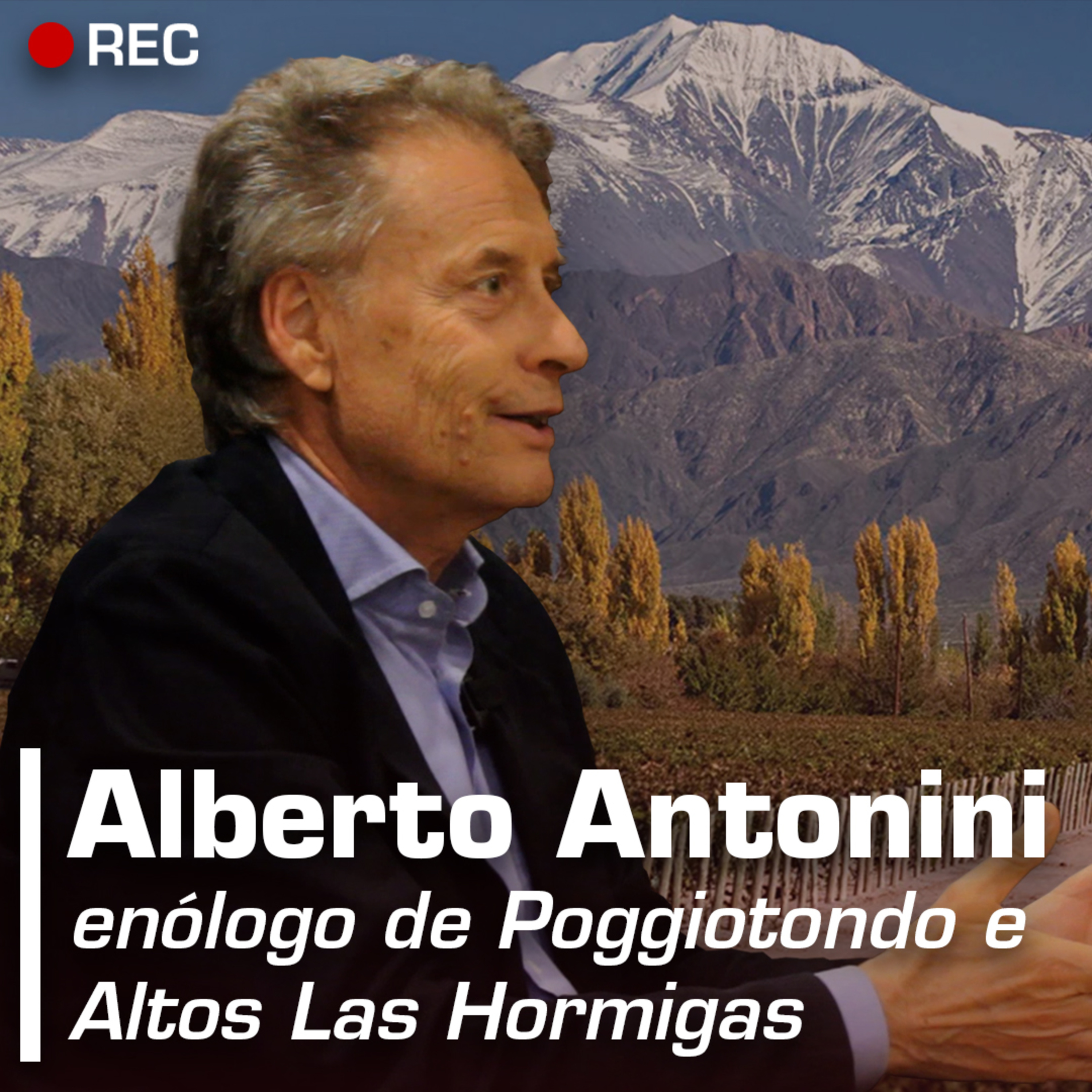 Revista ADEGA