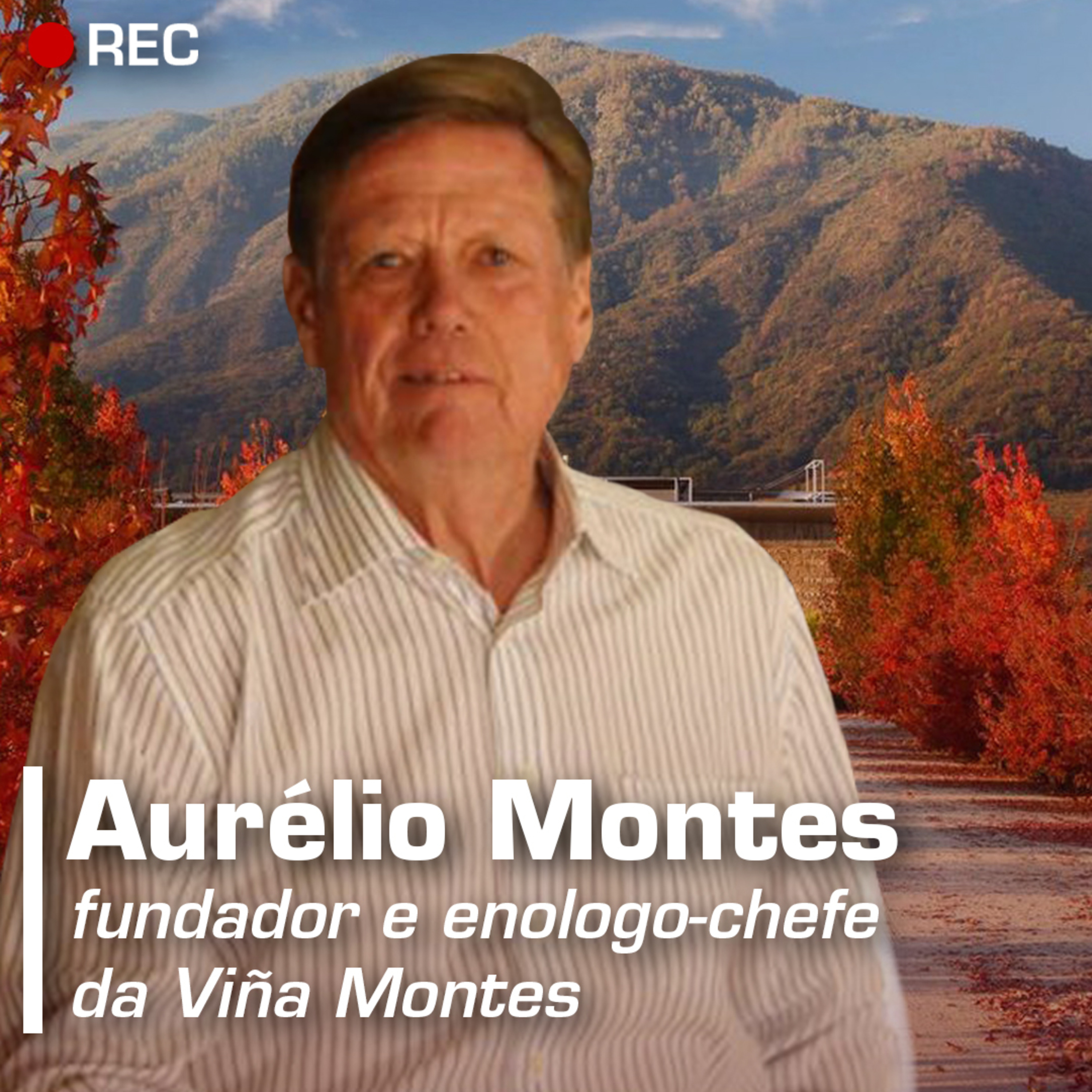 Revista ADEGA