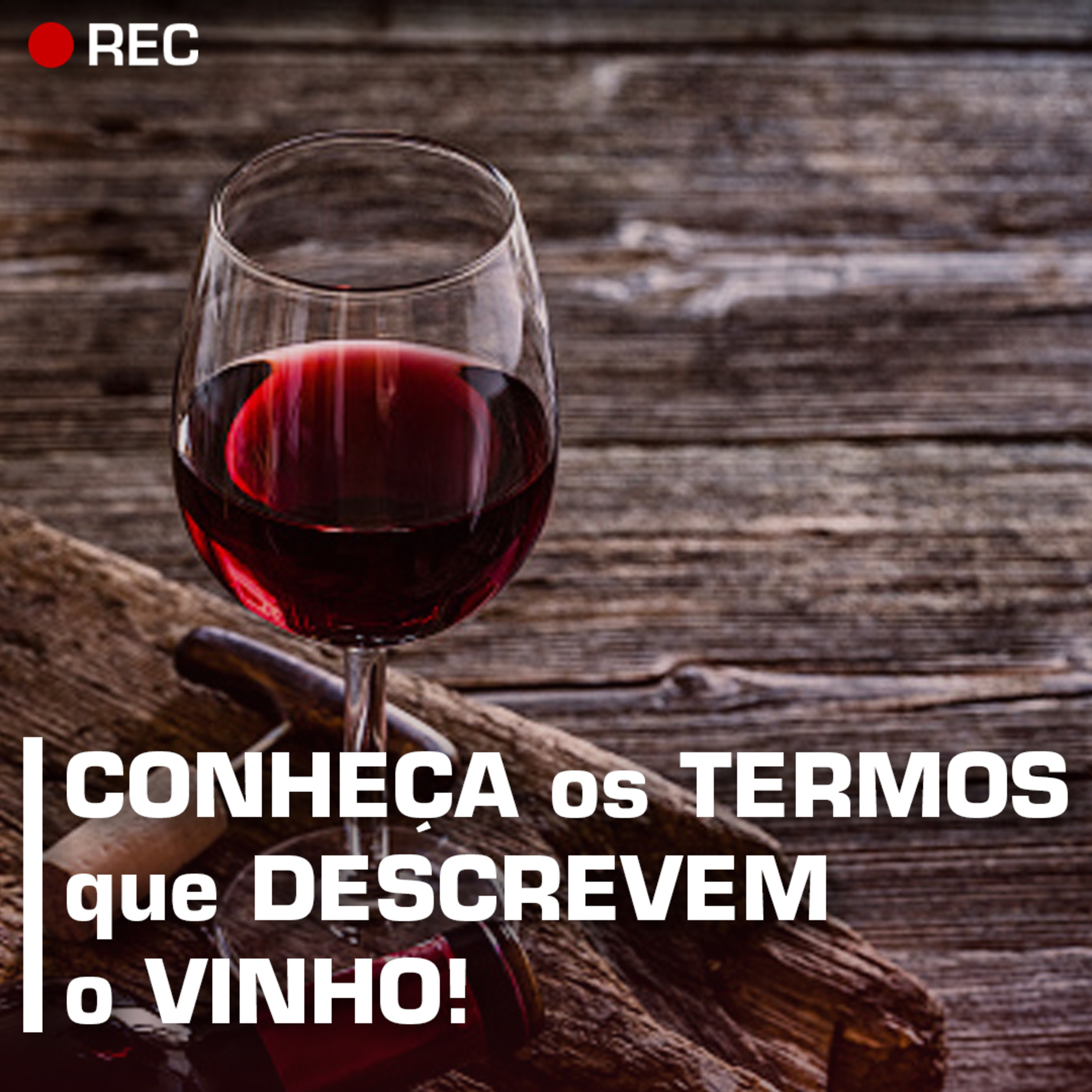 Revista ADEGA