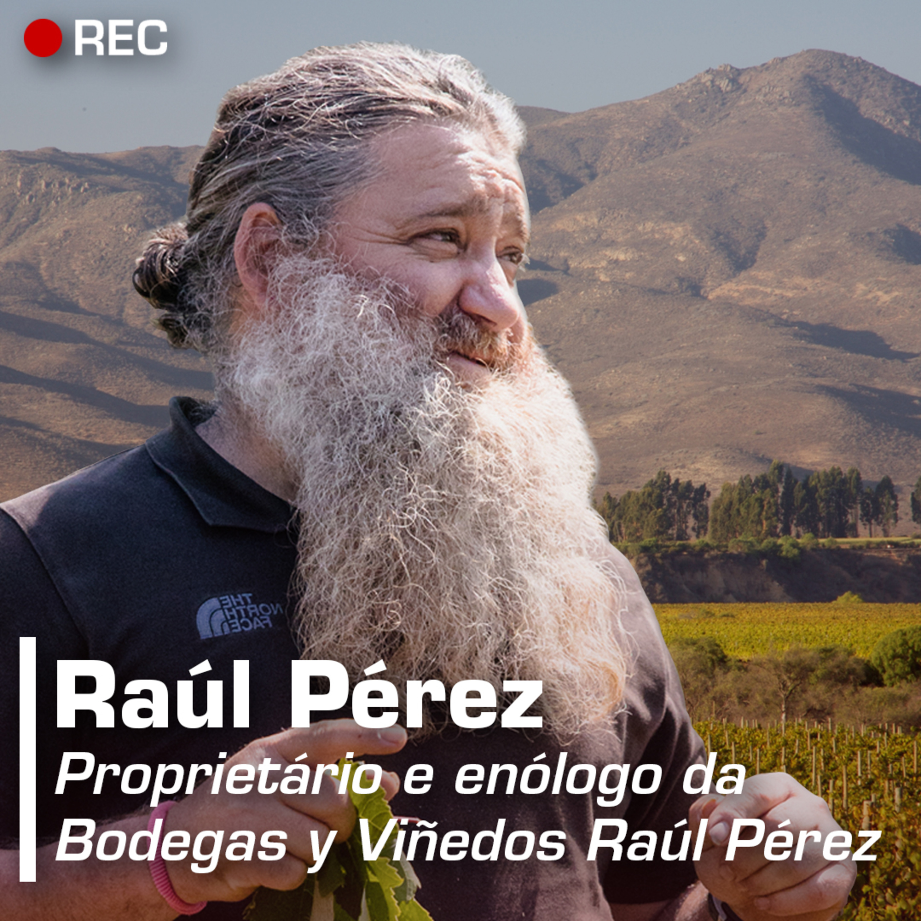 Revista ADEGA