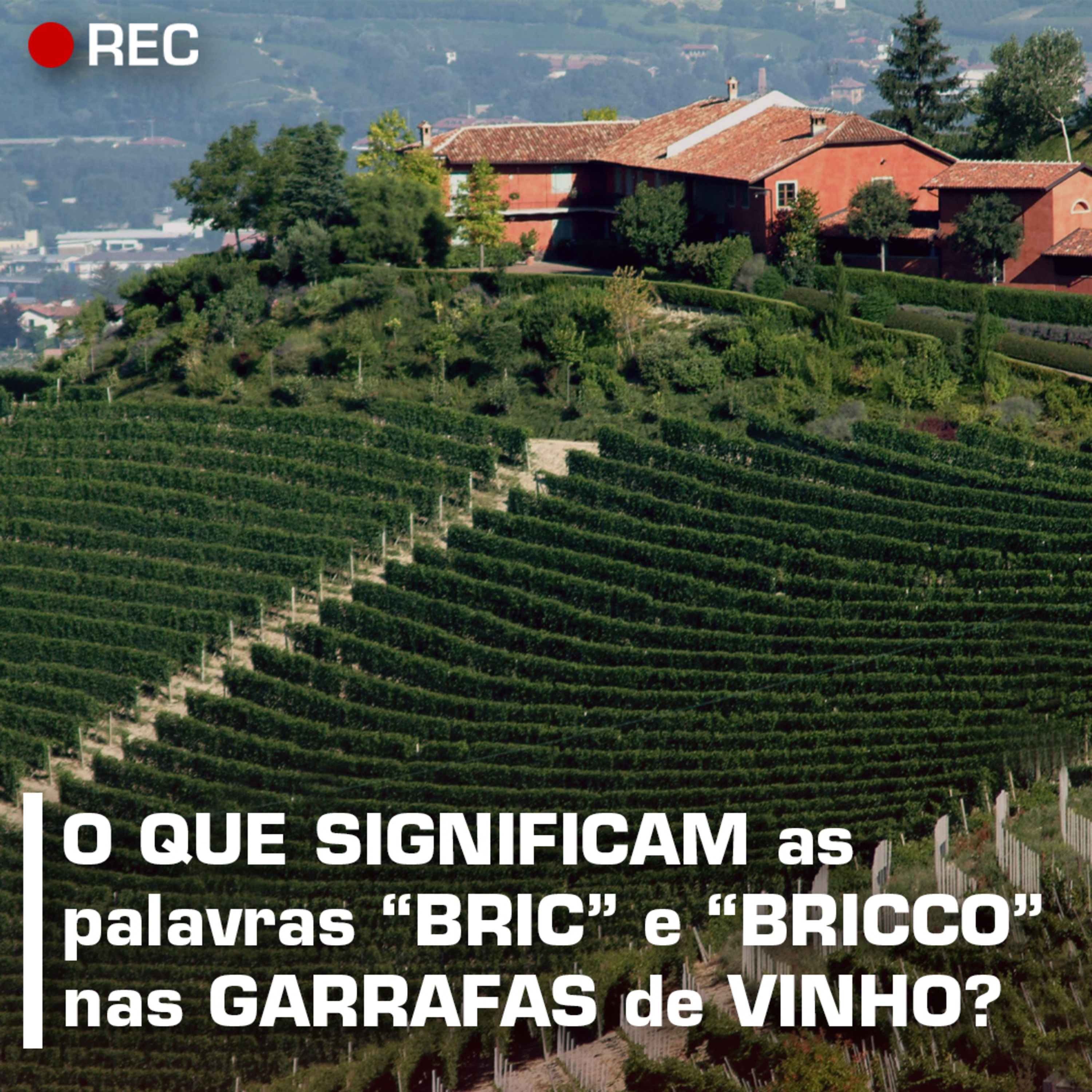 Revista ADEGA