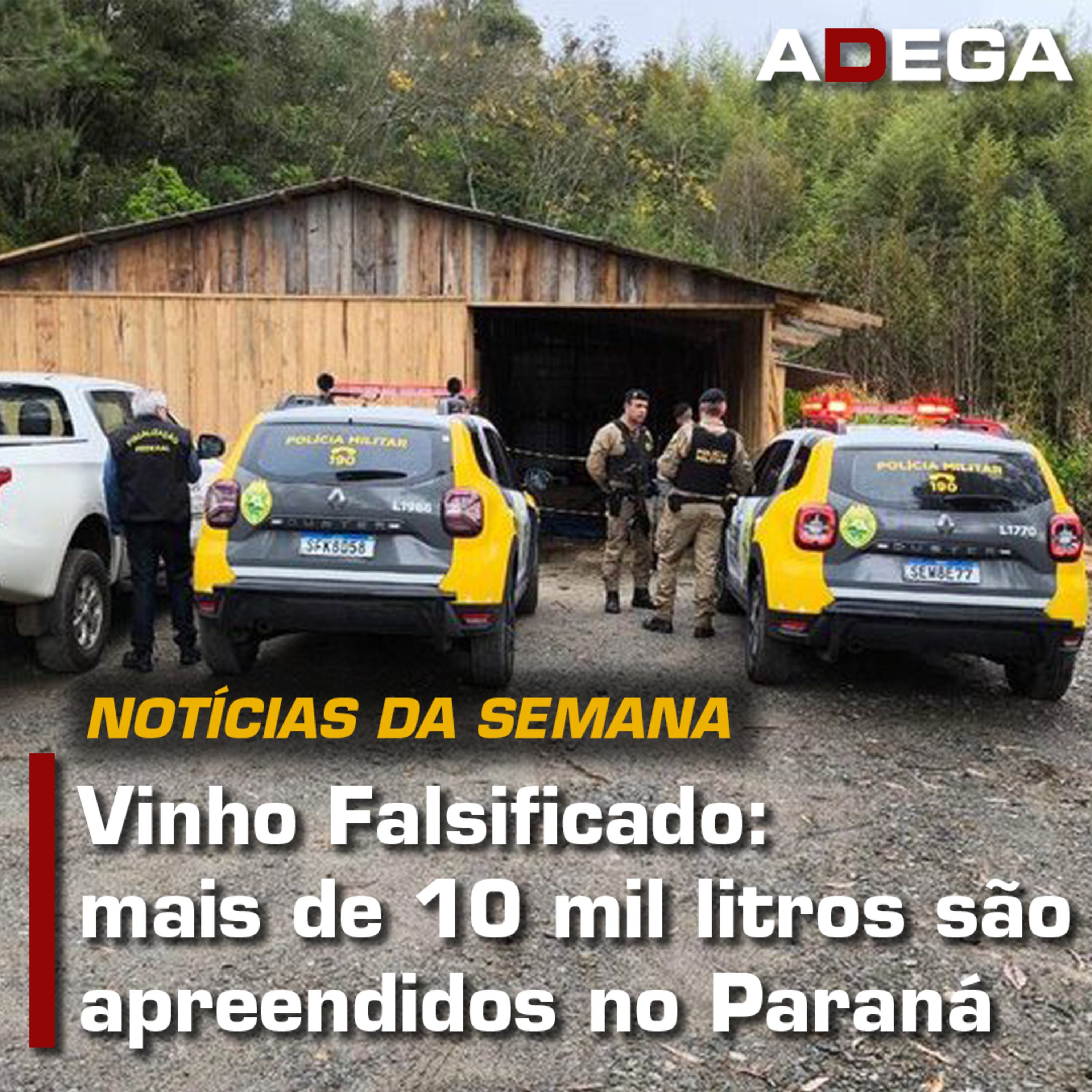 Revista ADEGA