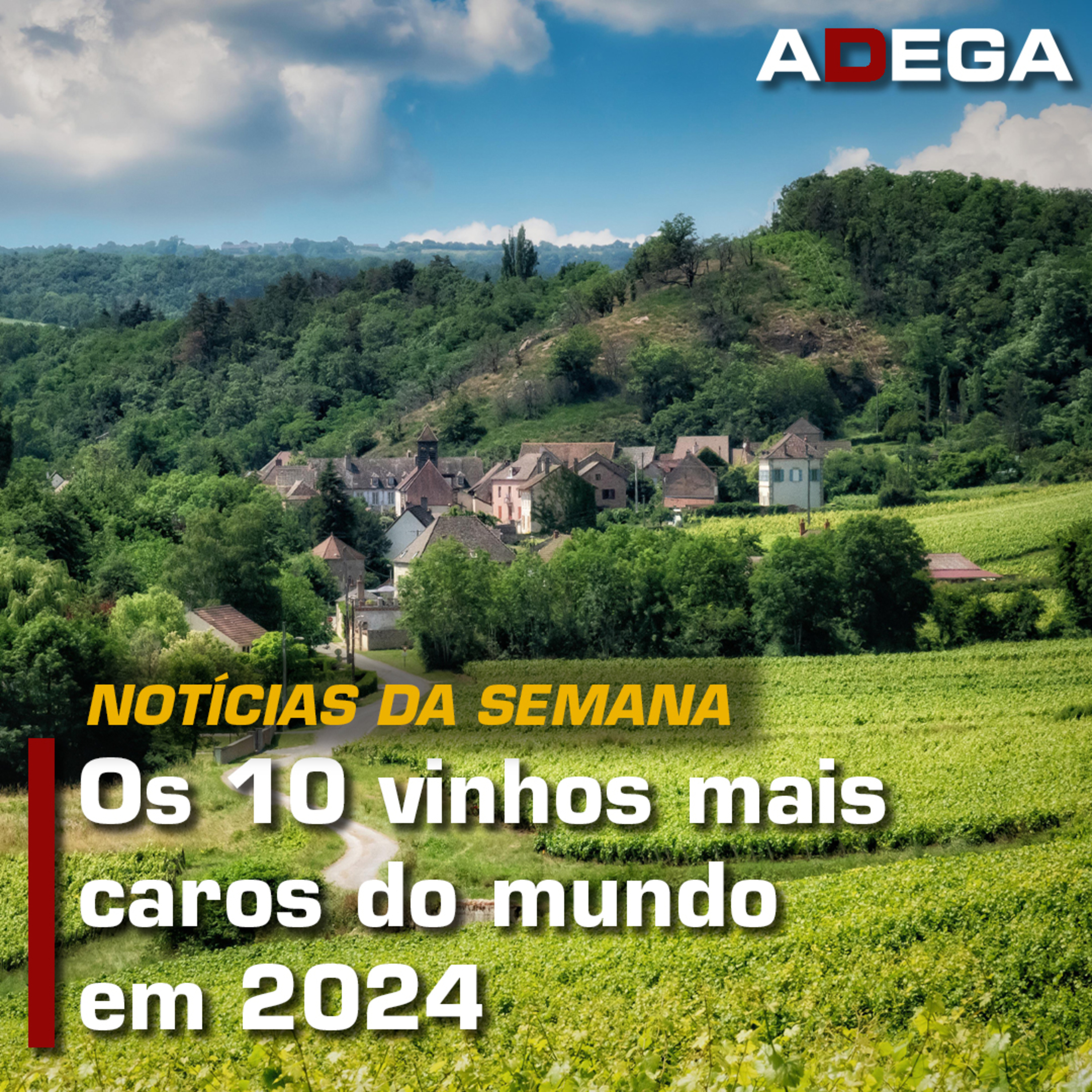 Revista ADEGA