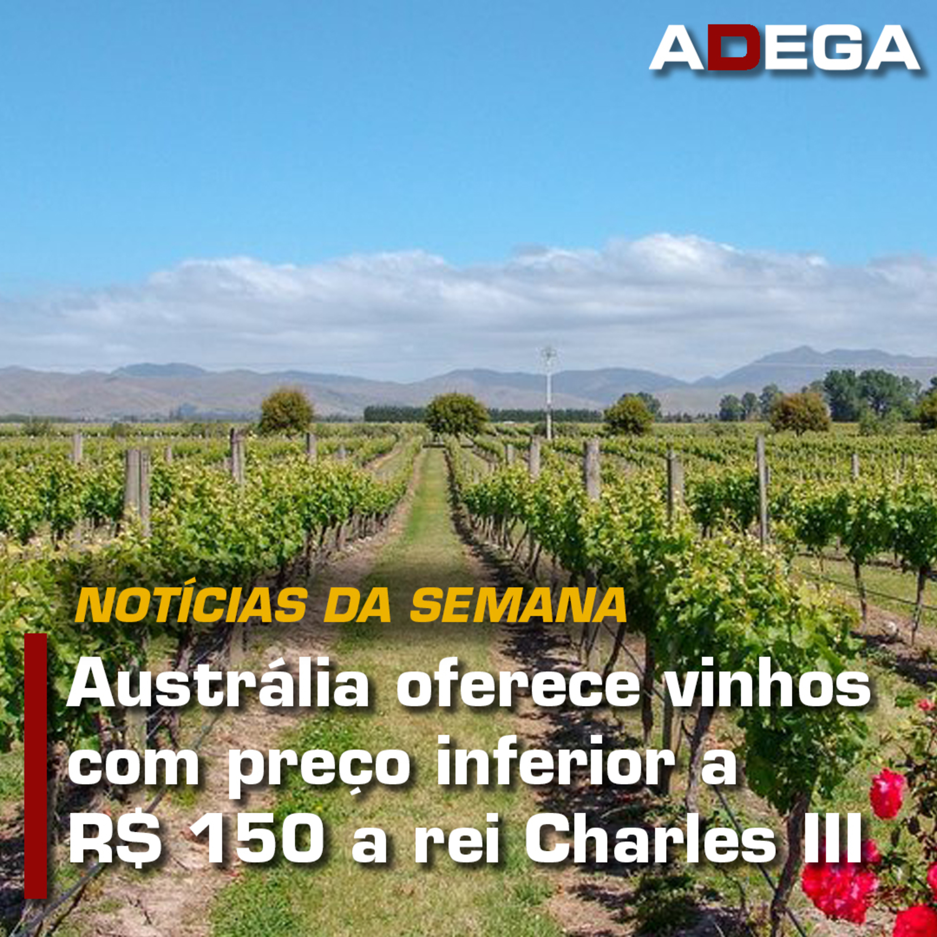 Revista ADEGA