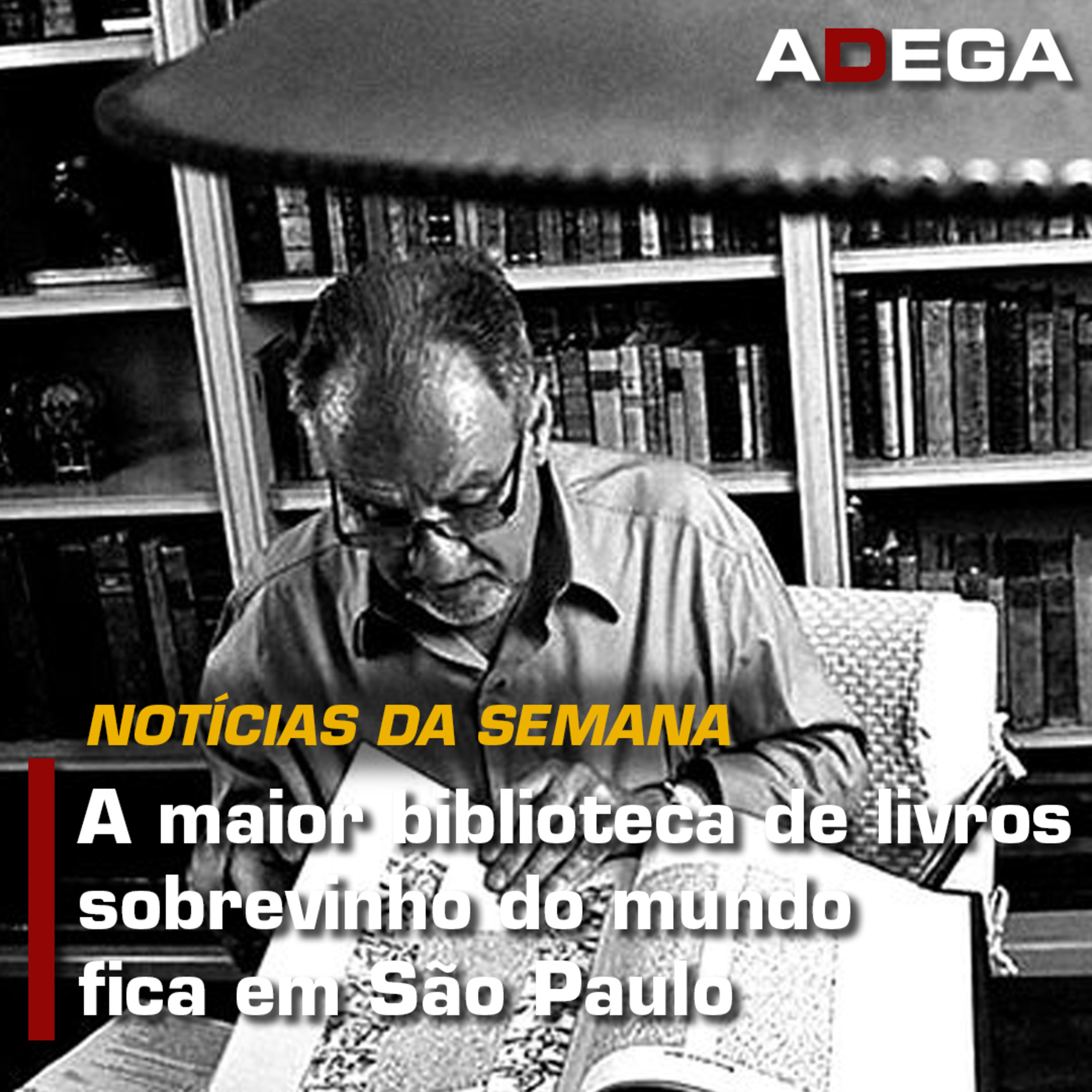 Revista ADEGA