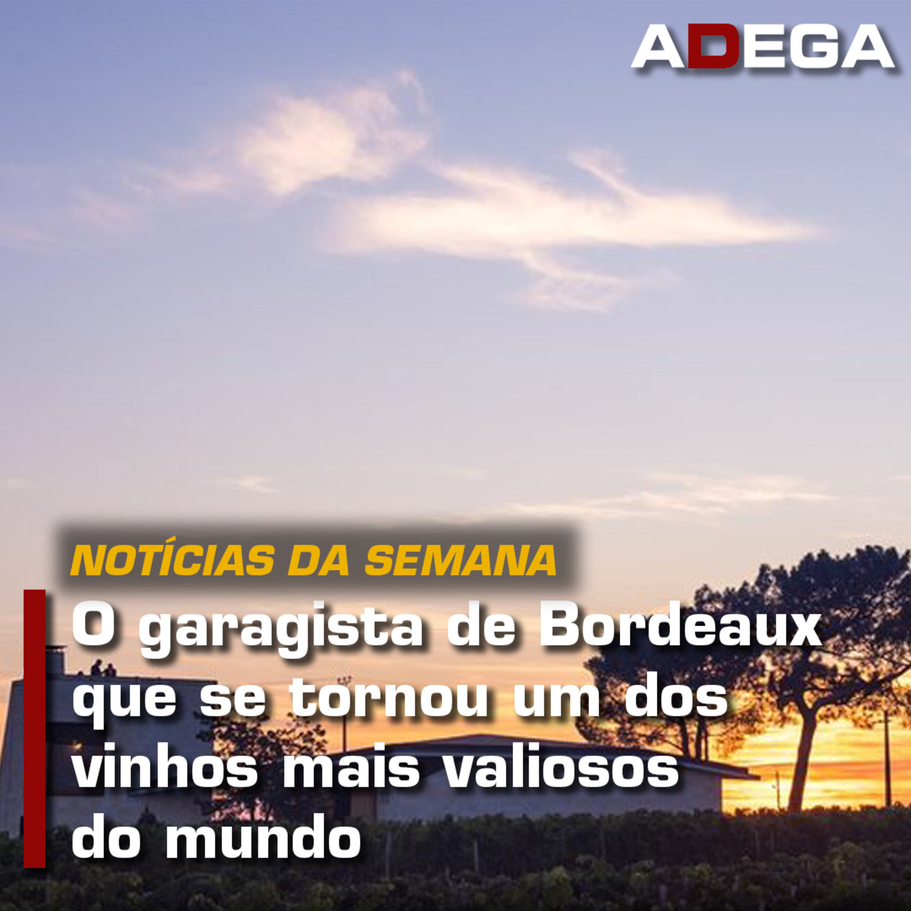 Revista ADEGA