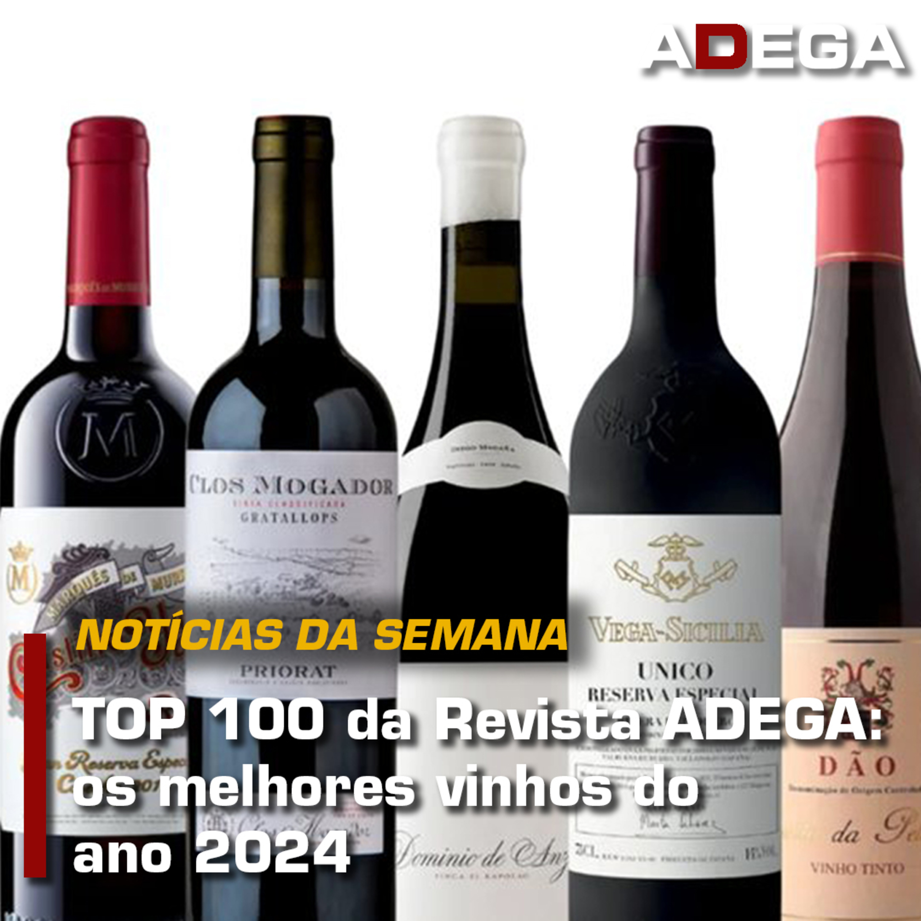 Revista ADEGA
