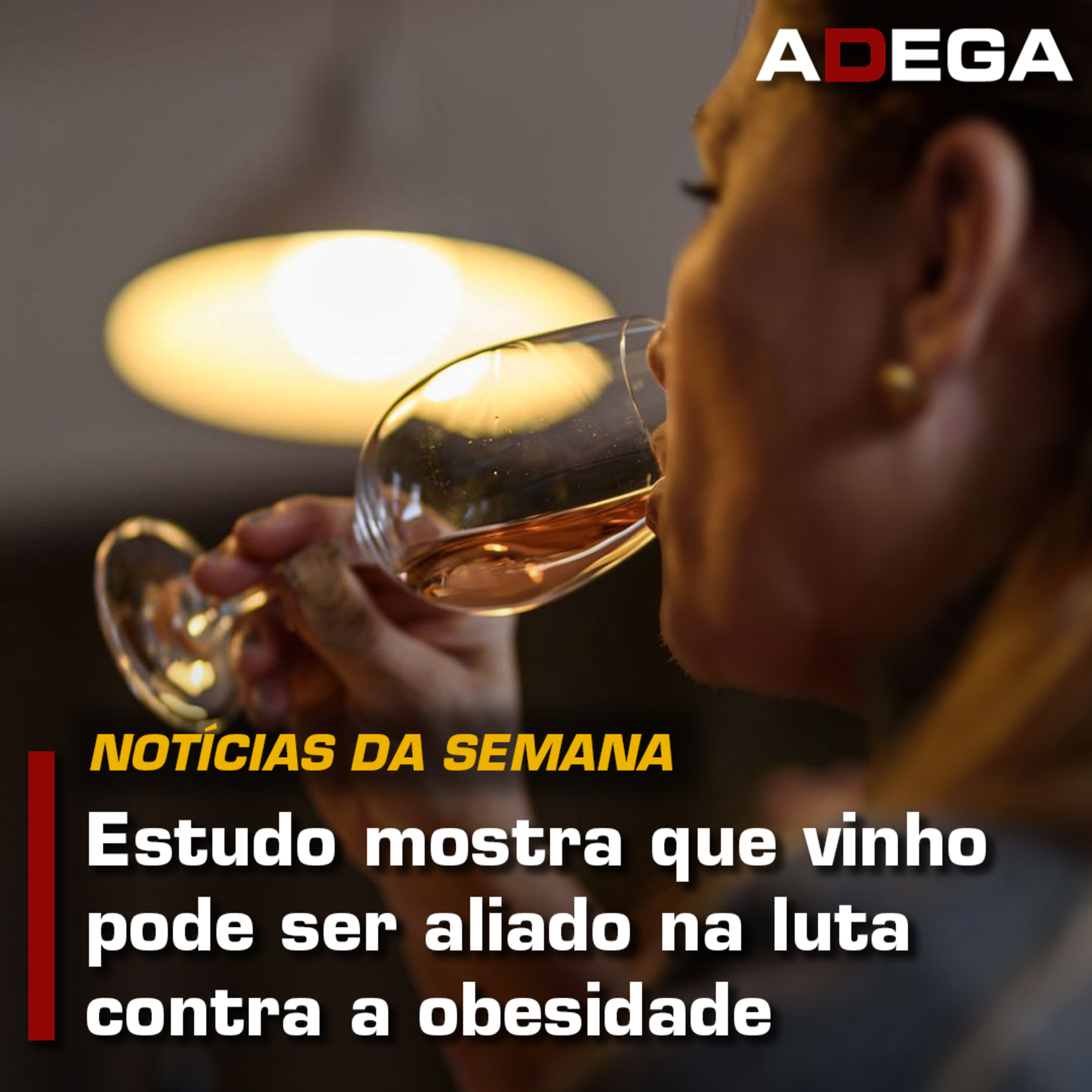Revista ADEGA