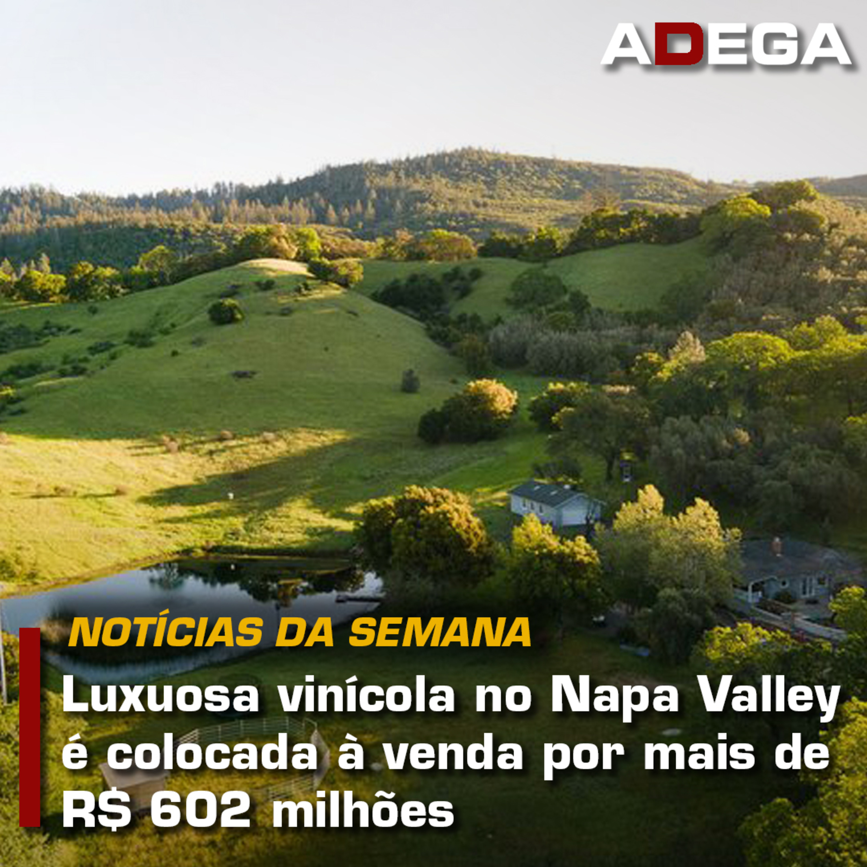 Revista ADEGA