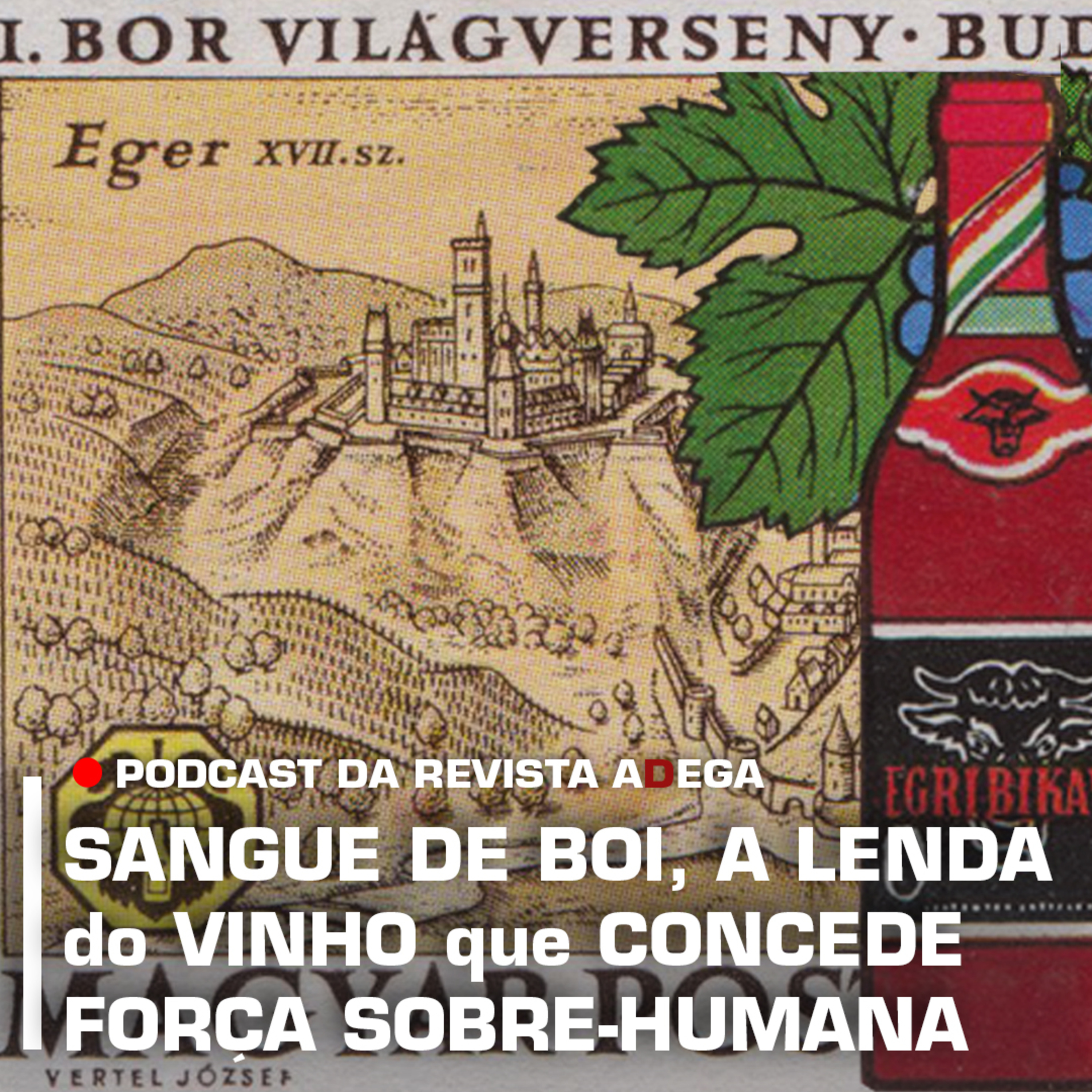 Revista ADEGA